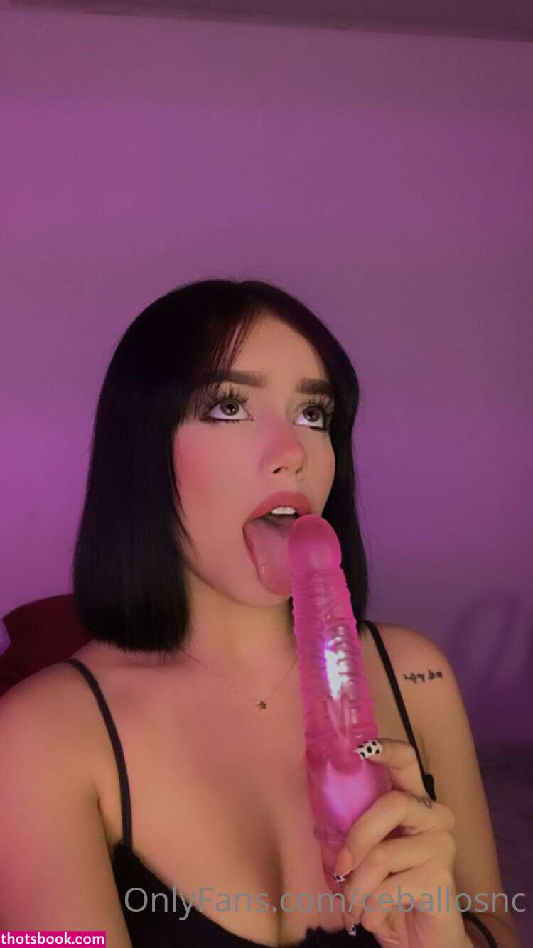 Nicole Ceballoss Nude Leaks OnlyFans Photos #14 1307045