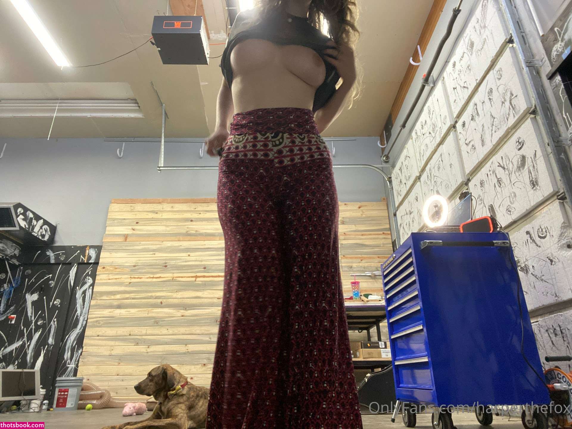 Harper the Fox Nude Leaks OnlyFans Photos #15 1321677