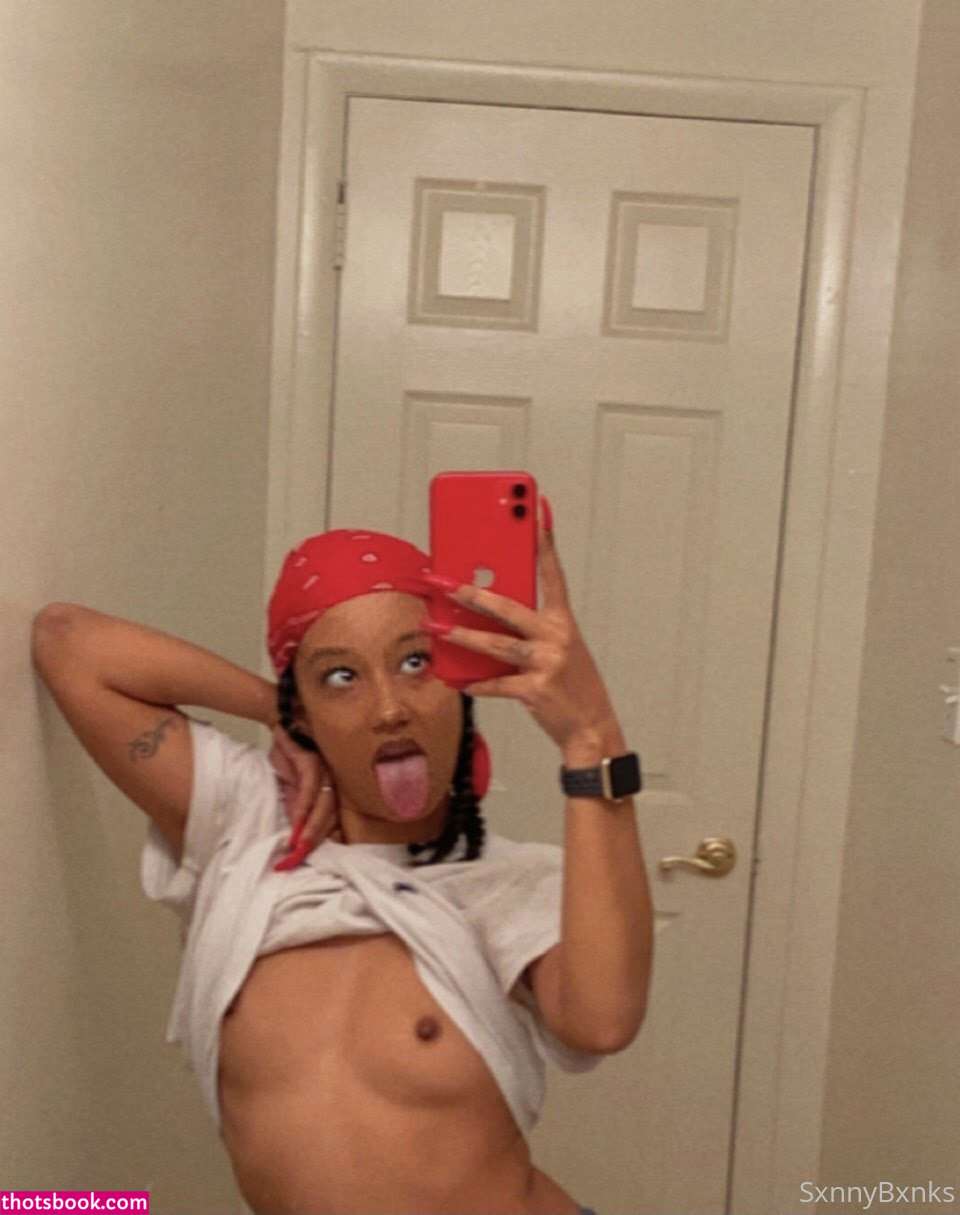 sxnnybxnks Nude OnlyFans Photos #4 1262588