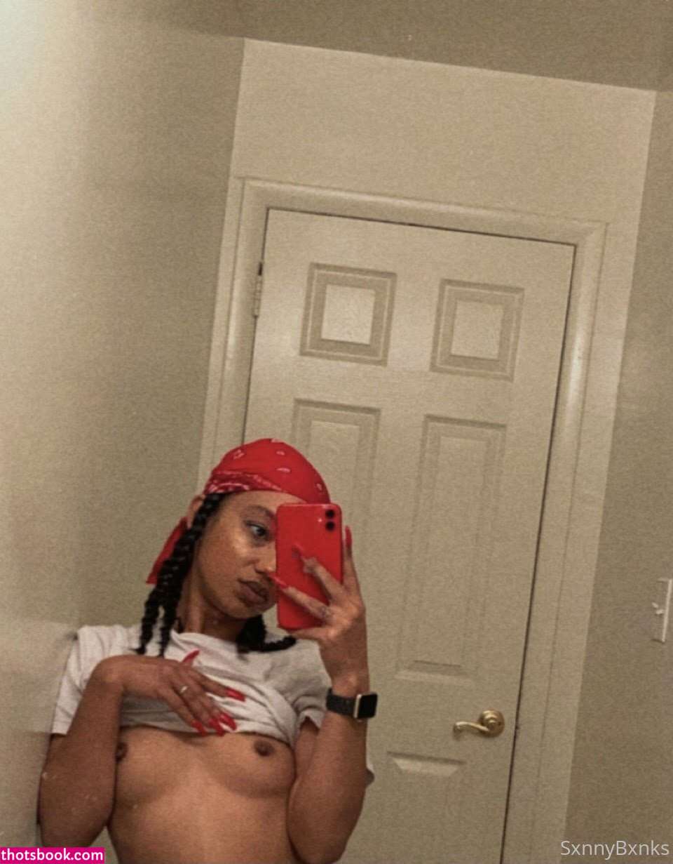 sxnnybxnks Nude OnlyFans Photos #4 1262590