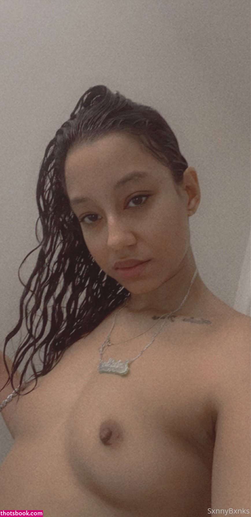 sxnnybxnks Nude OnlyFans Photos #6 1262608