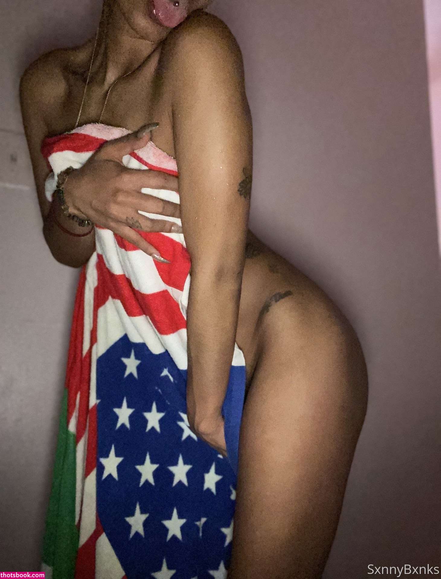 sxnnybxnks Nude OnlyFans Photos #15 1264312