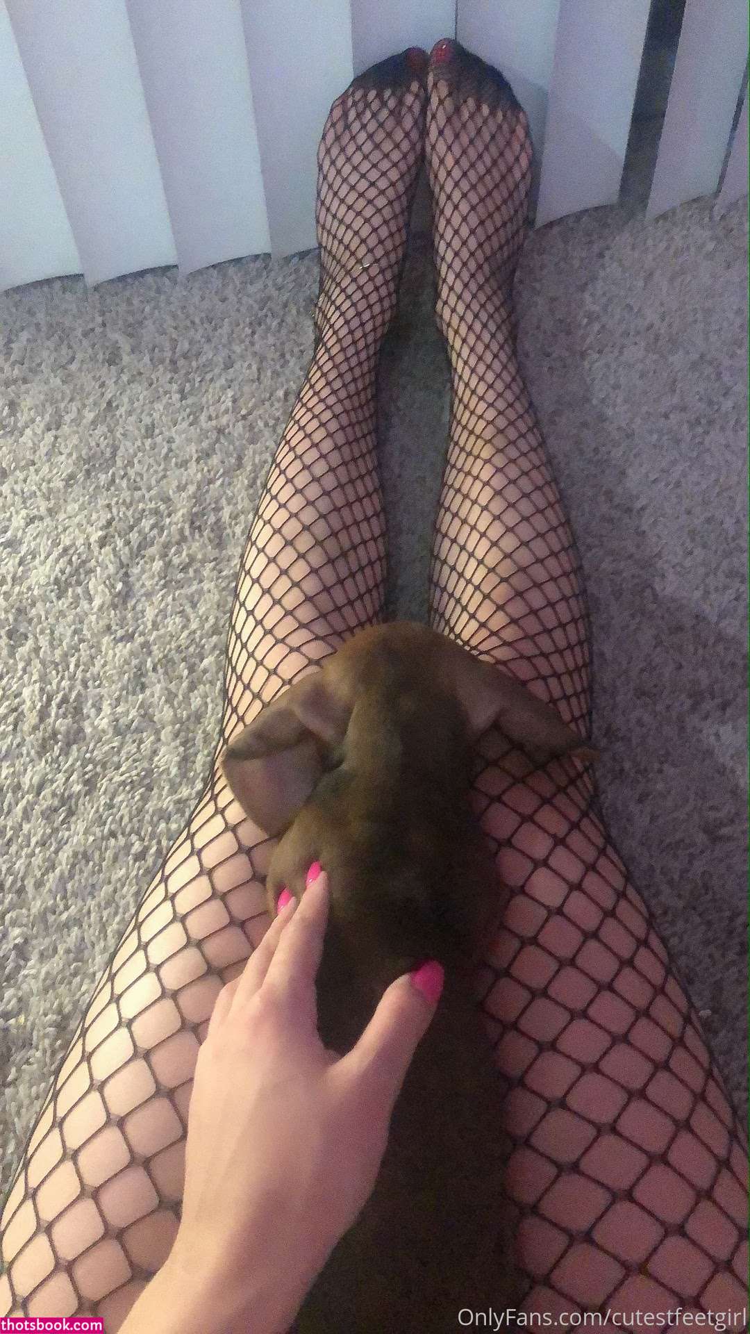 cutestfeetgirl blair3h Nude Leaks OnlyFans Photos #13 1311354