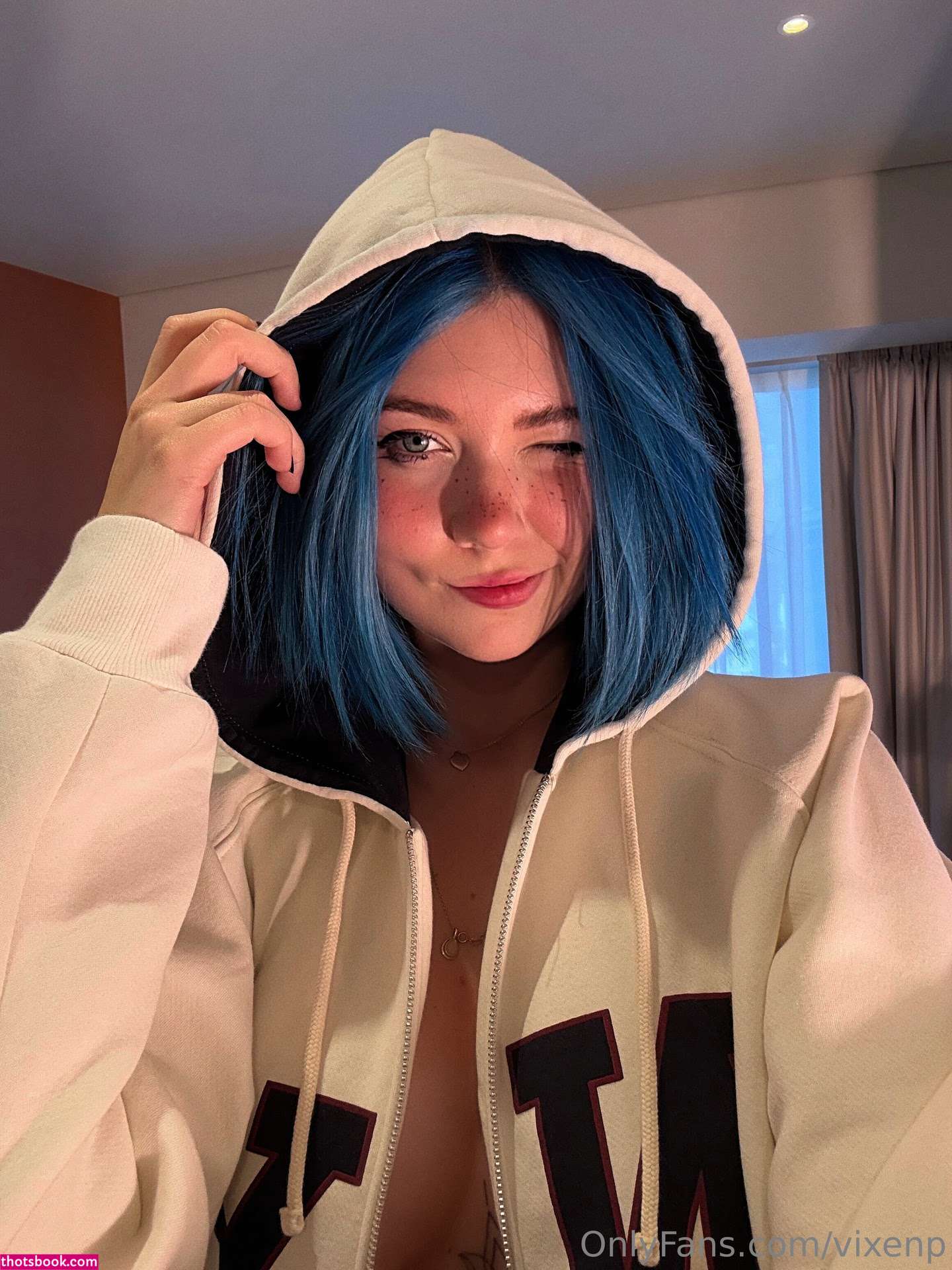 Vixenp Nude Leaks OnlyFans Photos #67 1328015