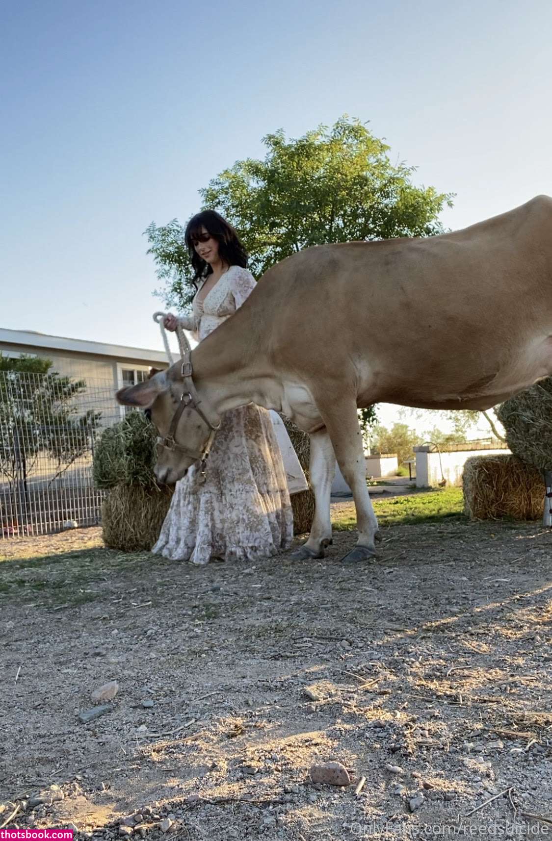 Reed Suicide Nude OnlyFans Photos #16 1279681