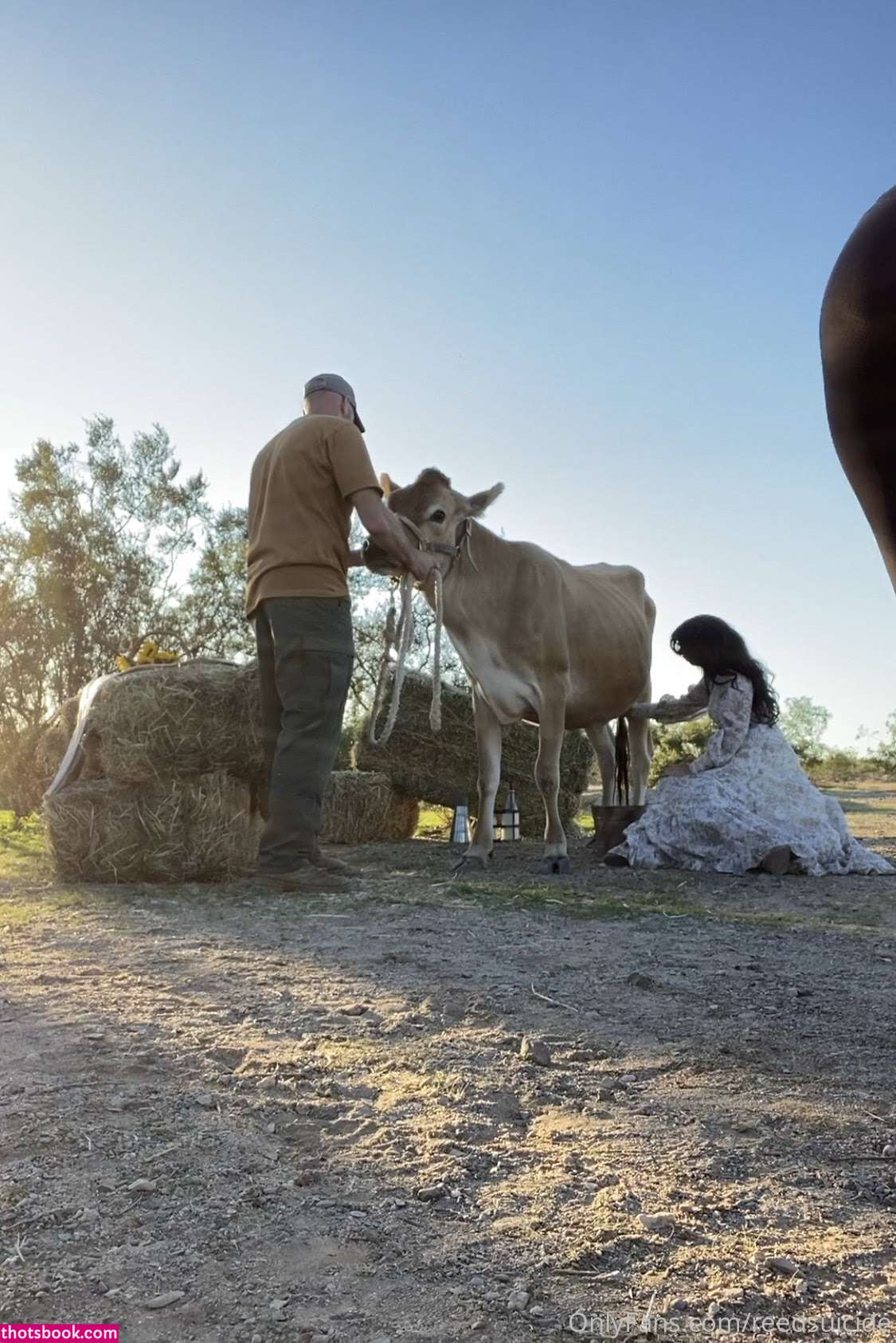 Reed Suicide Nude OnlyFans Photos #16 1279683