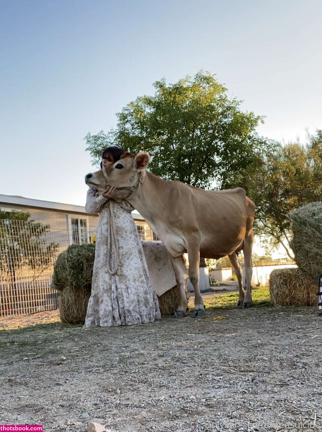 Reed Suicide Nude OnlyFans Photos #16 1279688