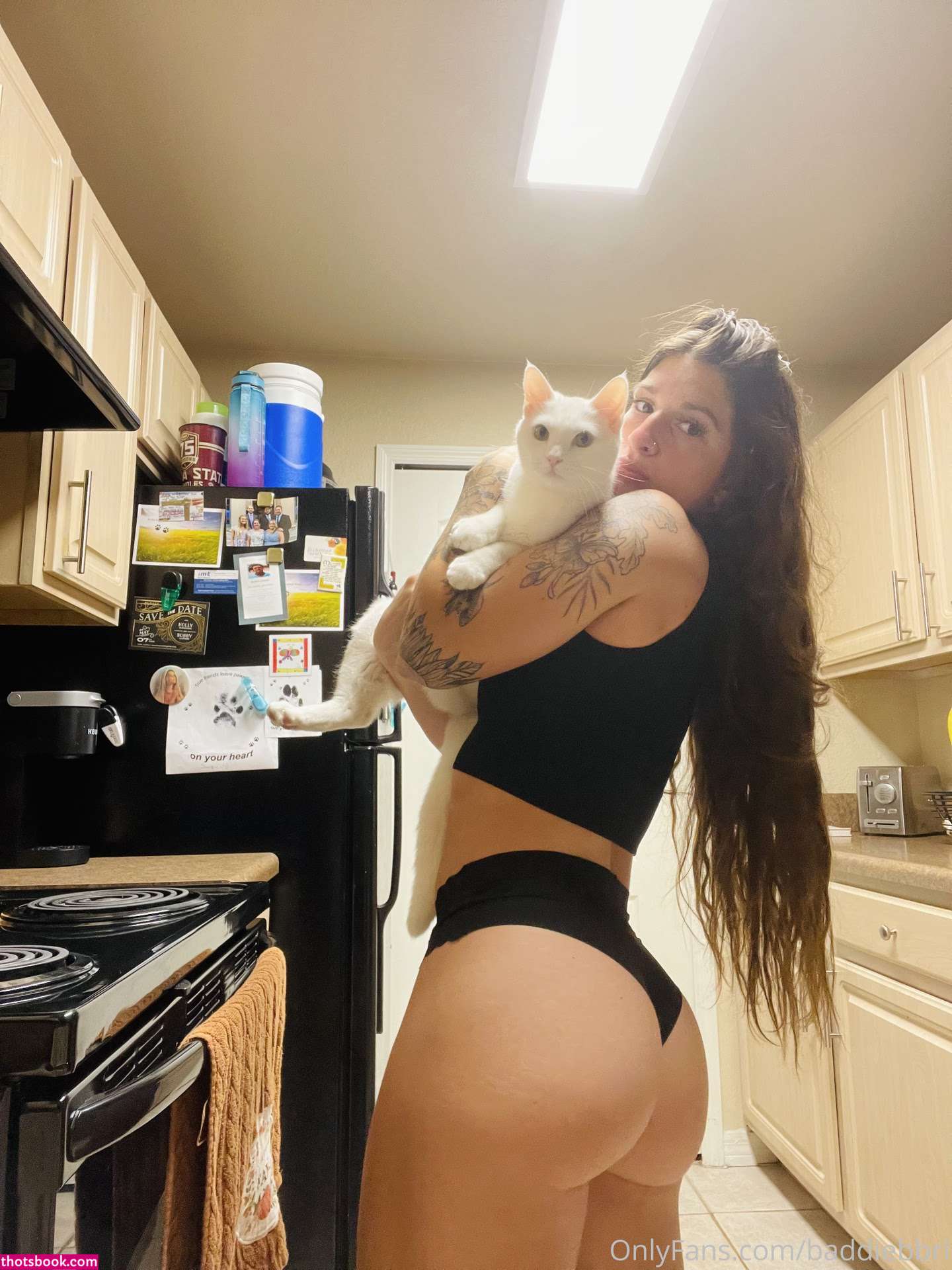 baddiebbri Nude Leaks OnlyFans Photos #11 1292019