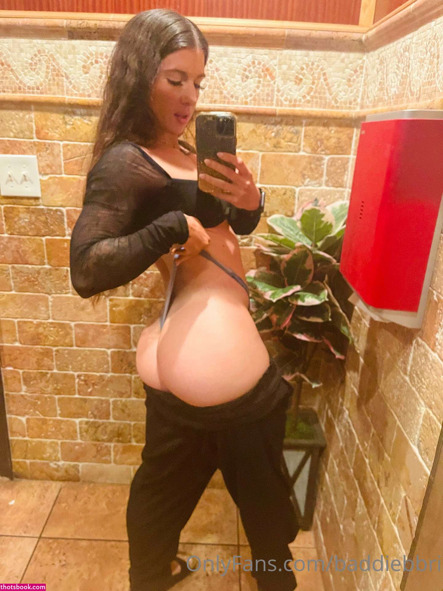 baddiebbri Nude Leaks OnlyFans Photos #14 1292053