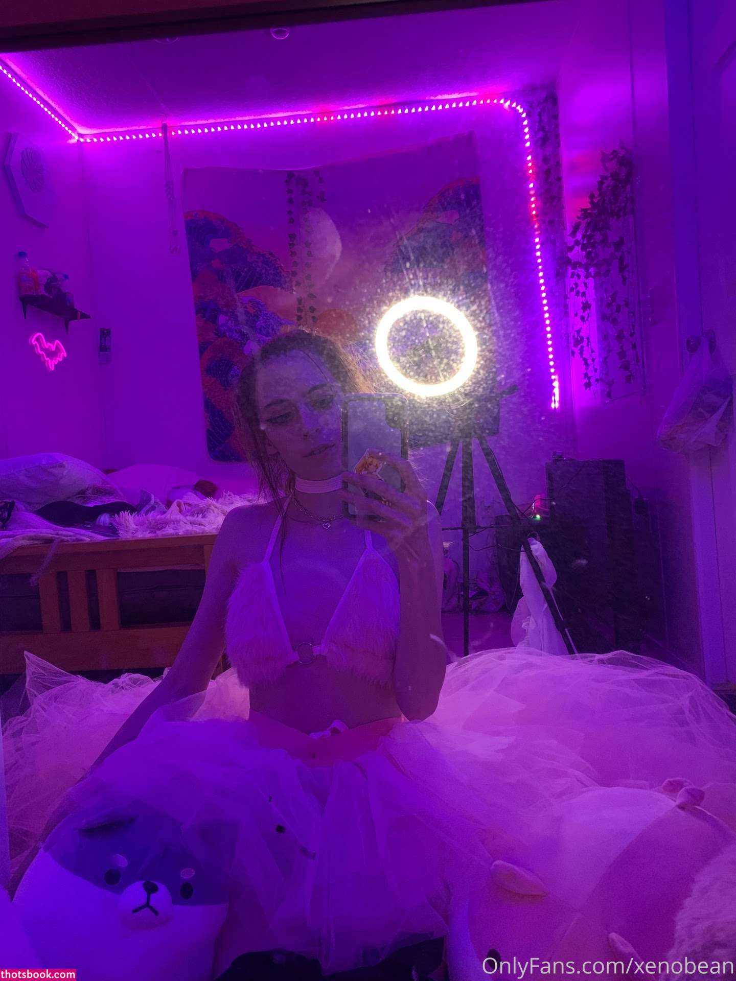 Xenobean xenobeanx morphicxeno Nude Leaks OnlyFans Photos #9 1308816