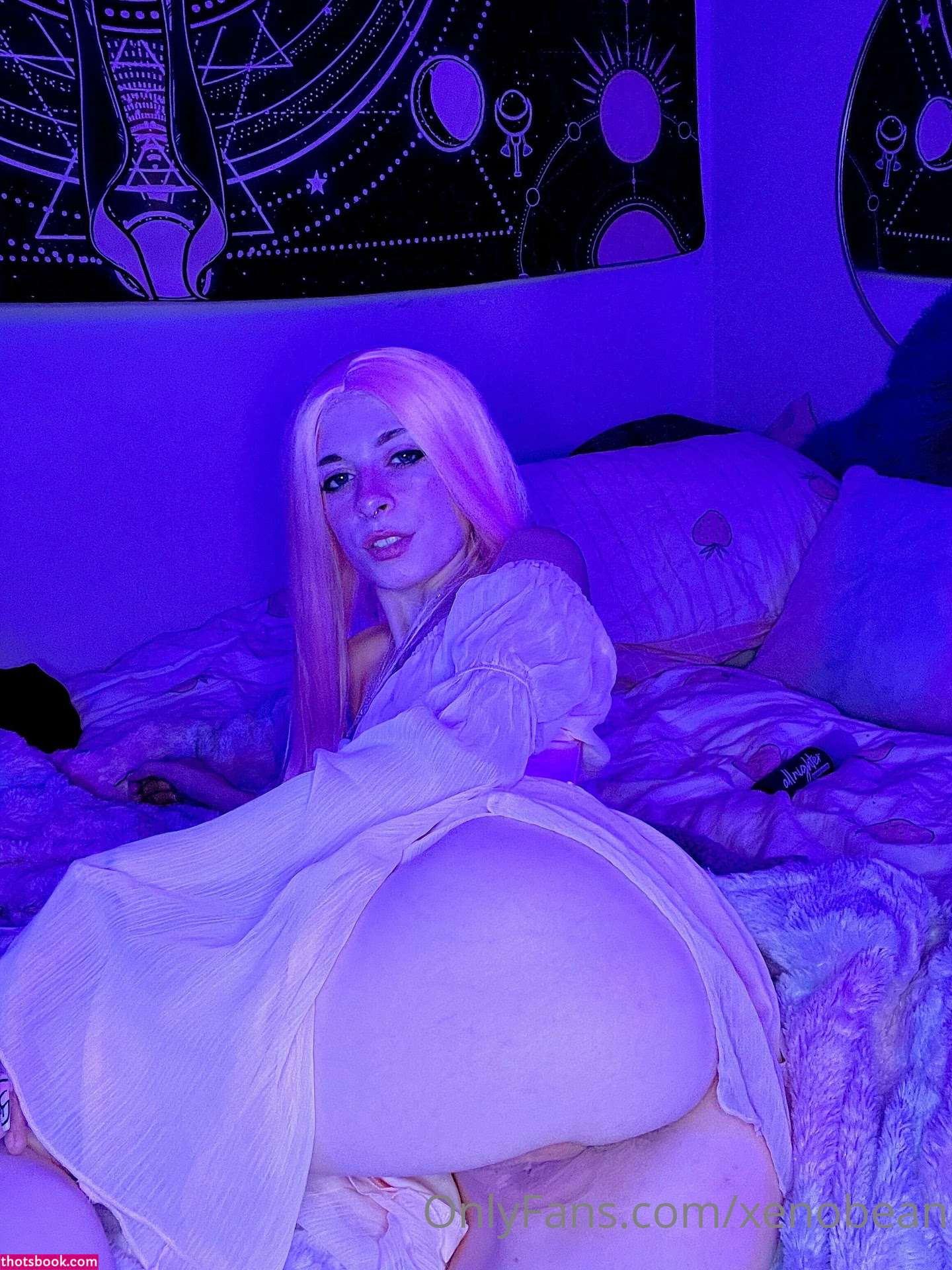 Xenobean xenobeanx morphicxeno Nude Leaks OnlyFans Photos #15 1308891