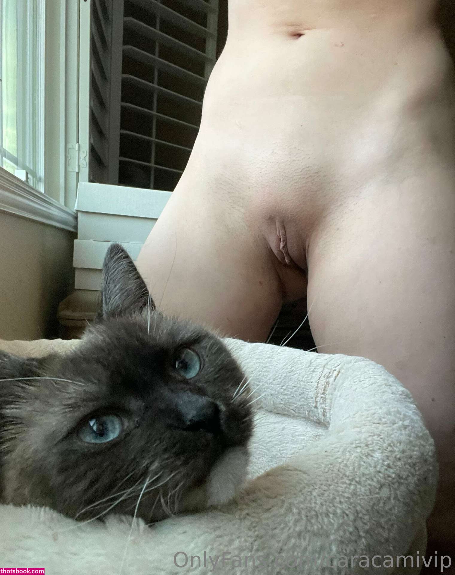 CaraCami caracamivip Nude Leaks OnlyFans Photos #4 1294977