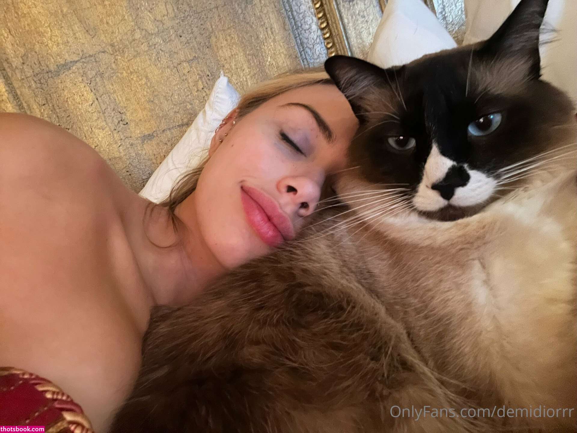 demidiorxo Nude Leaks OnlyFans Photos #8 1329184