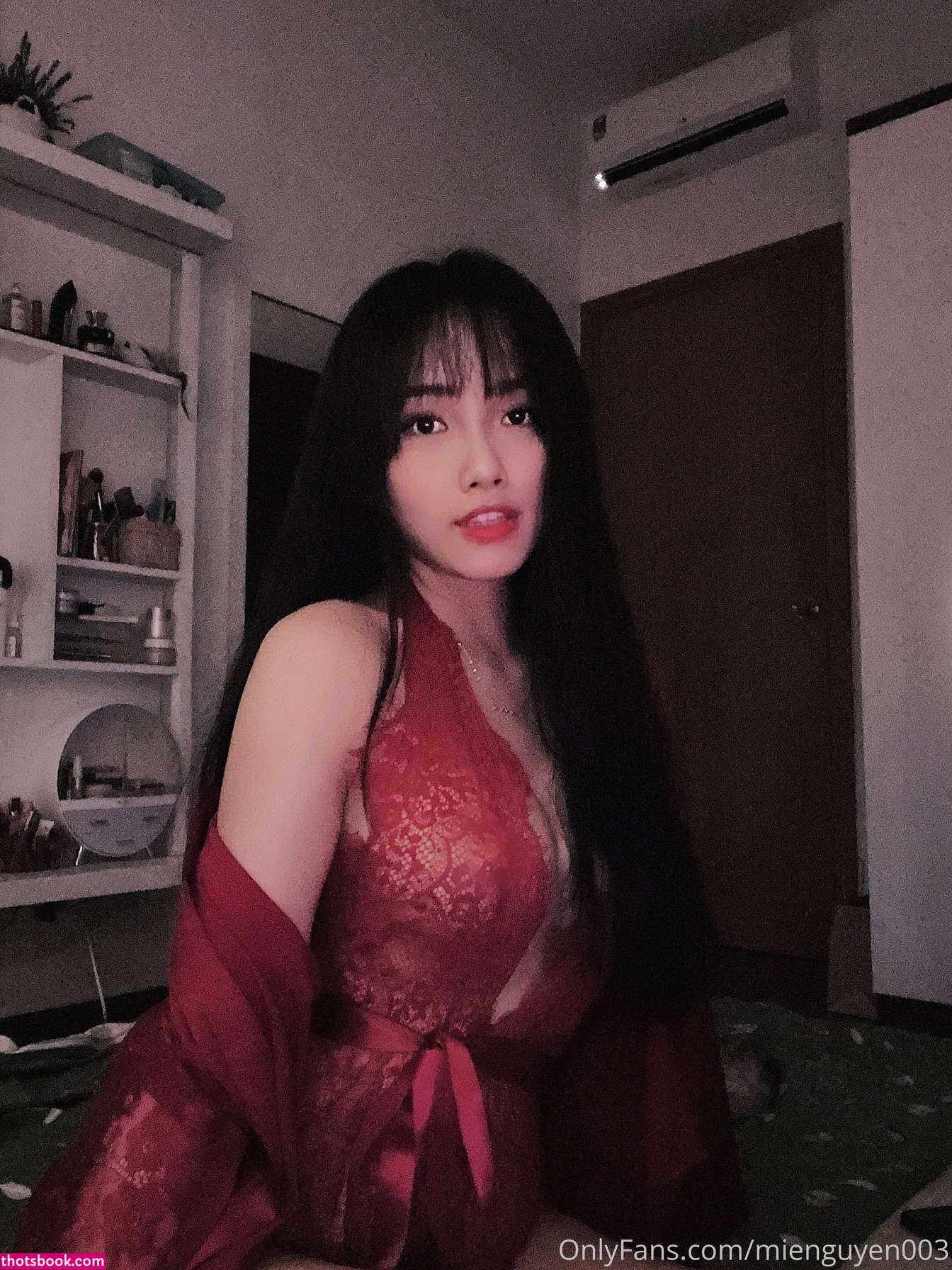 mie ngn3 mienguyen003 Nude Leaks OnlyFans Photos #1 1883903