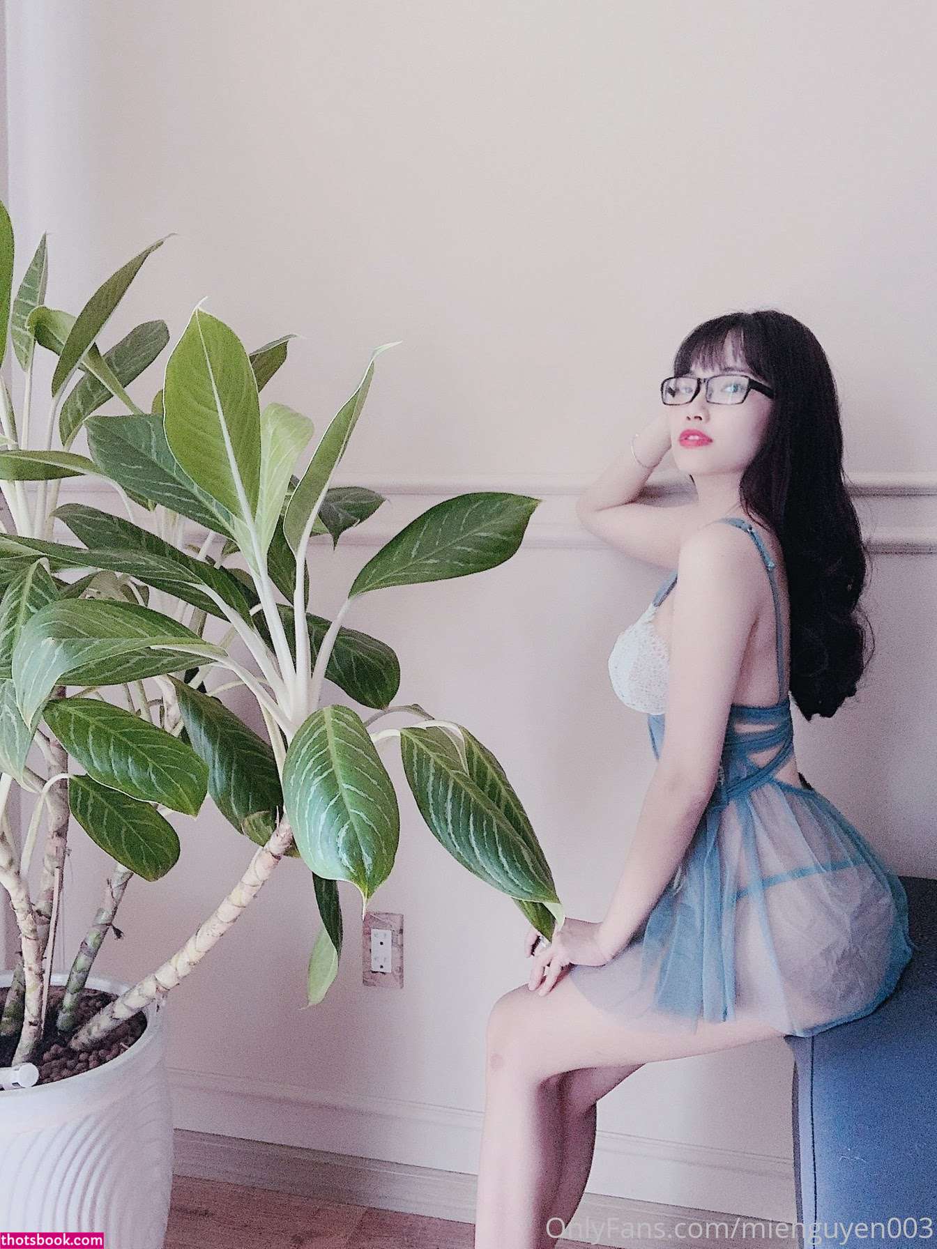 mie ngn3 mienguyen003 Nude Leaks OnlyFans Photos #3 1883918