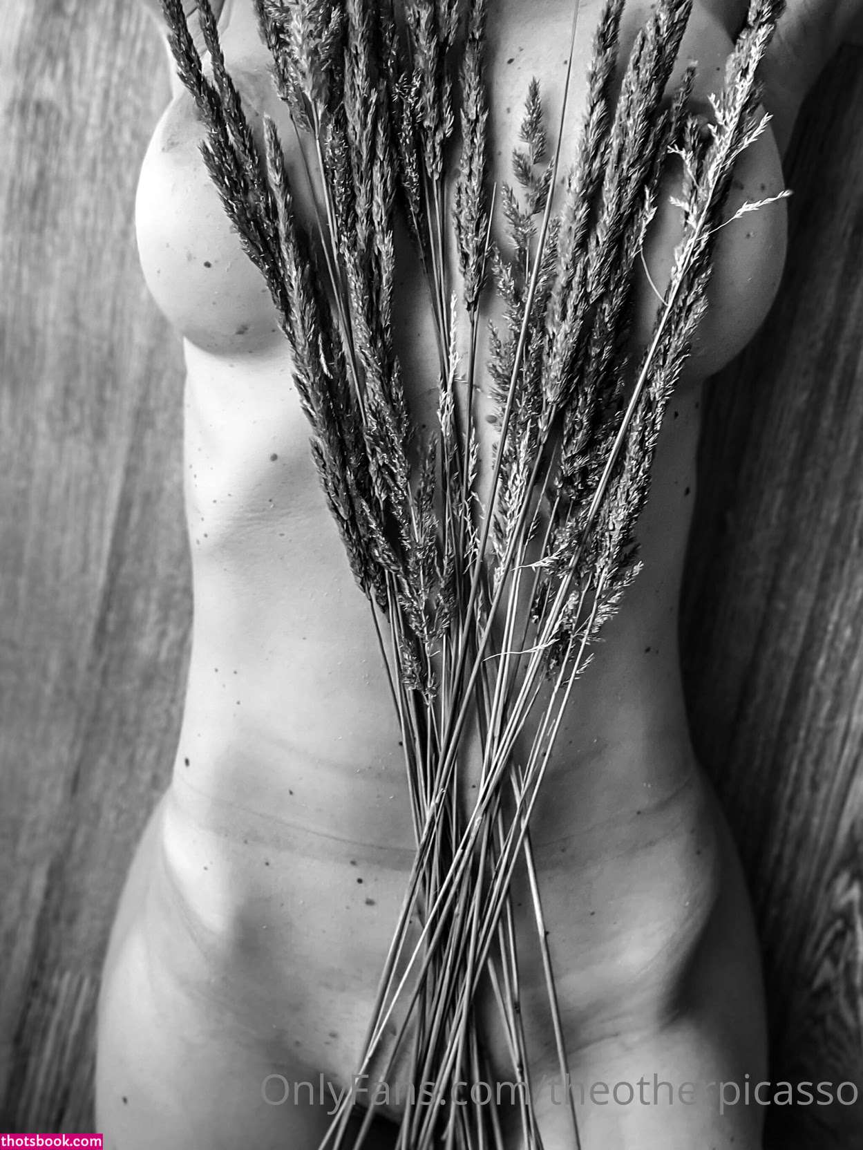 TheOtherPicasso Nude Leaks OnlyFans Photos #2 1887637