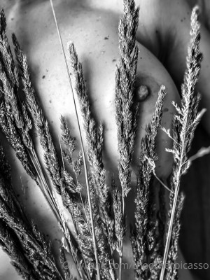 TheOtherPicasso Nude Leaks OnlyFans Photos #2