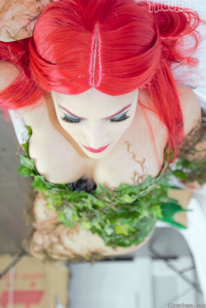 CINCINBEAR SEVEN DEADLY CINS 14226