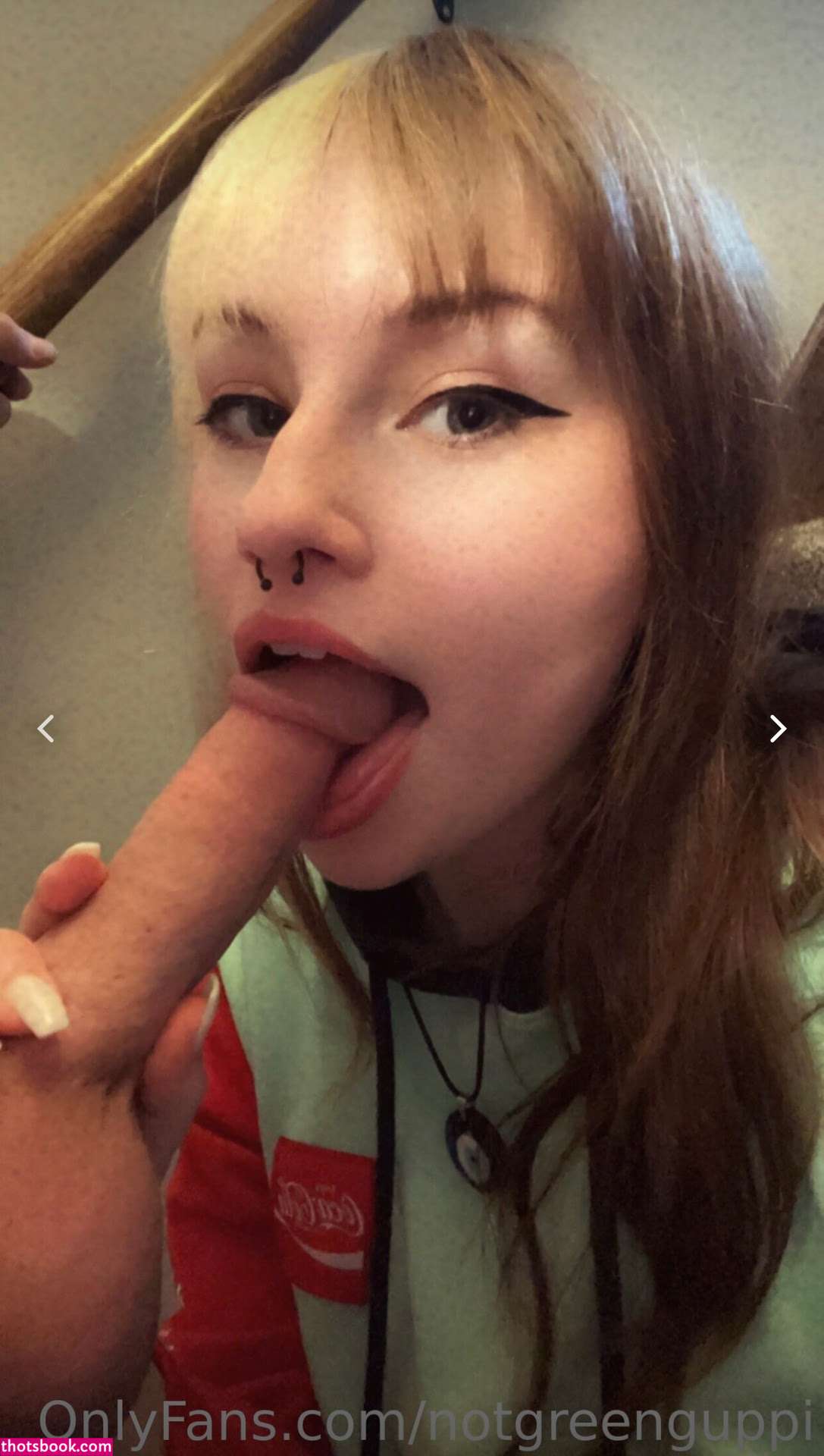 redreptile greenguppi Nude OnlyFans Photos #8 569262