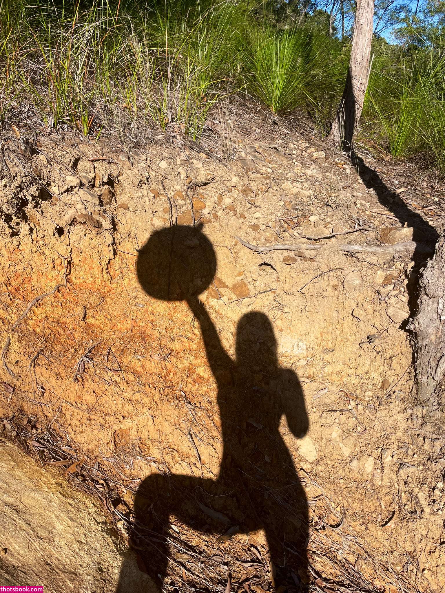 Elle Knox Nude OnlyFans Photos #9 554133