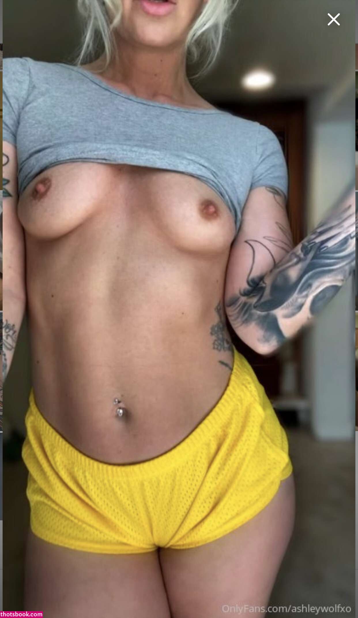 ashleywolfx Nude OnlyFans Photos #3 560447