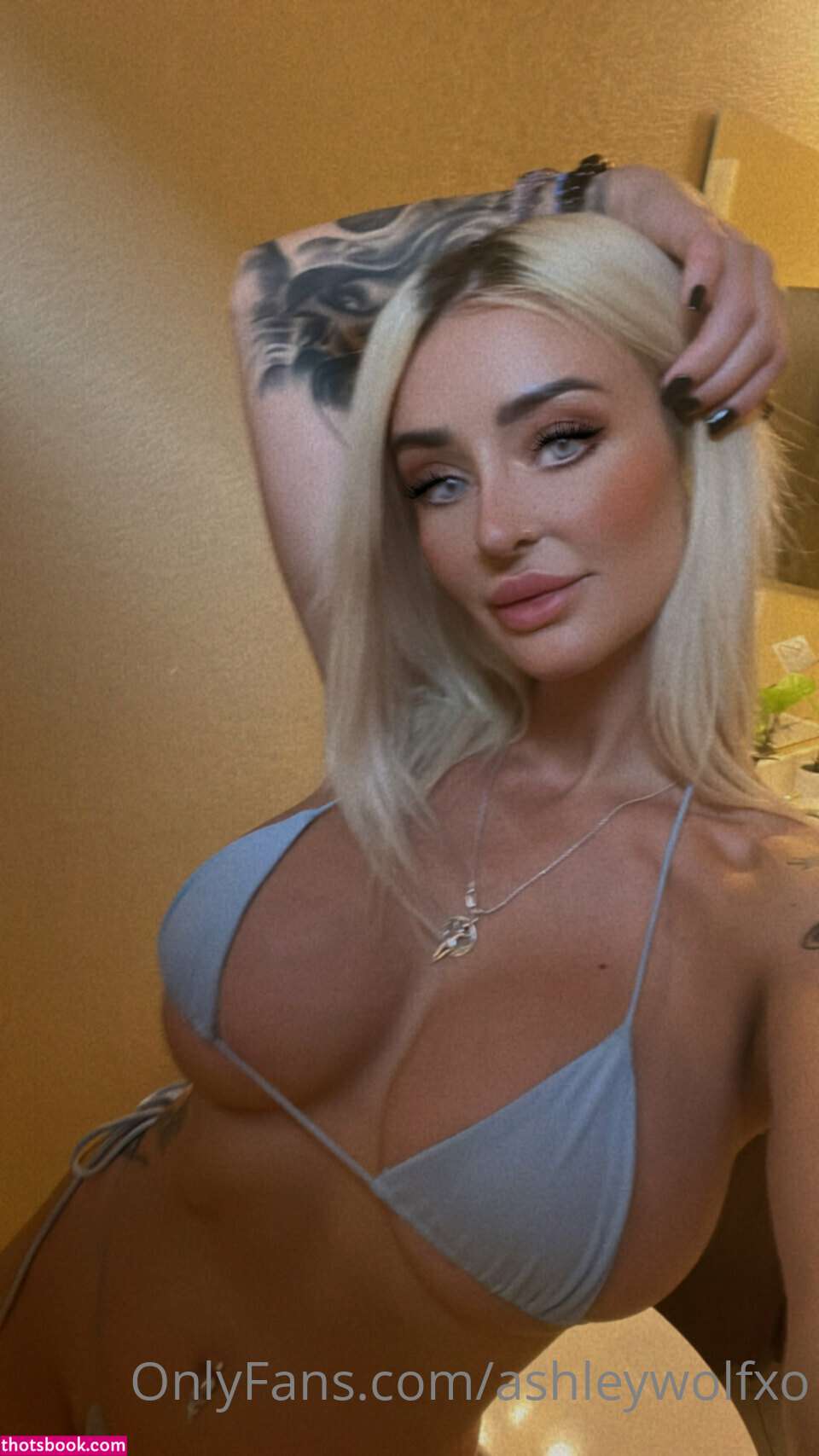 ashleywolfx Nude OnlyFans Photos #6 560462
