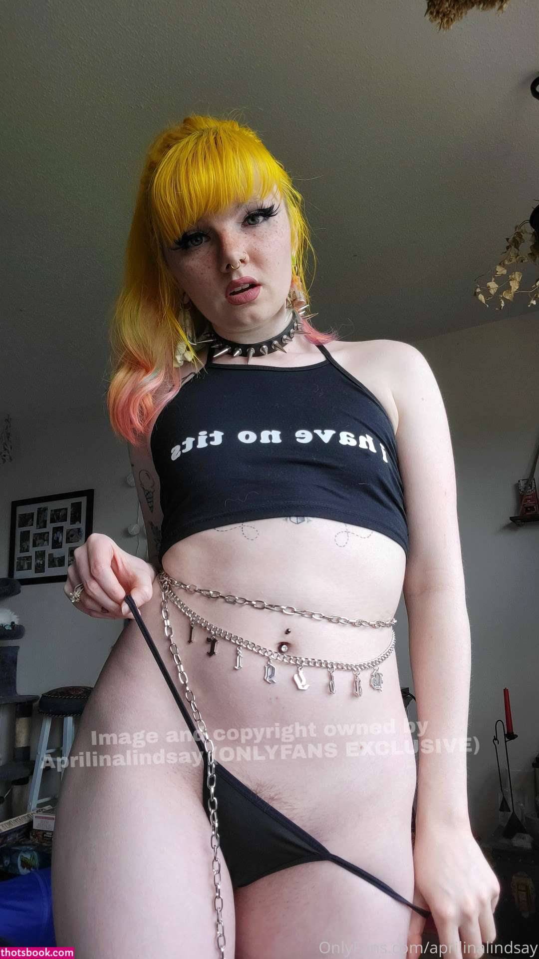 aprilinalindsay Nude OnlyFans Photos #14 561759