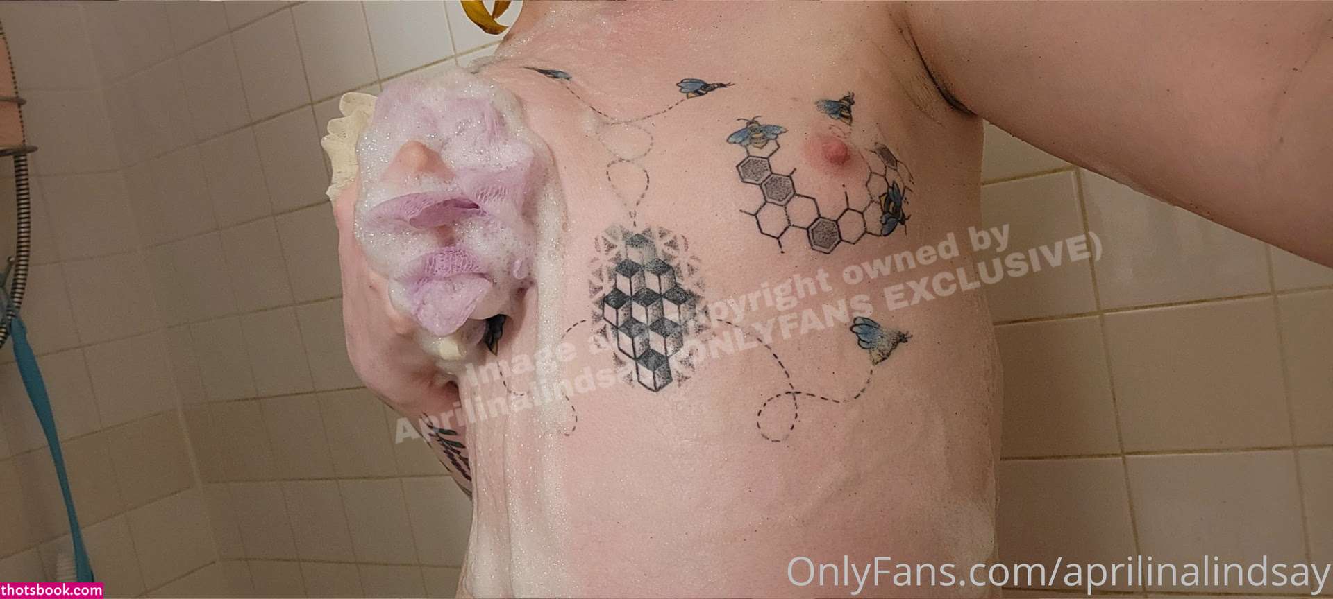 aprilinalindsay Nude OnlyFans Photos #15 561795