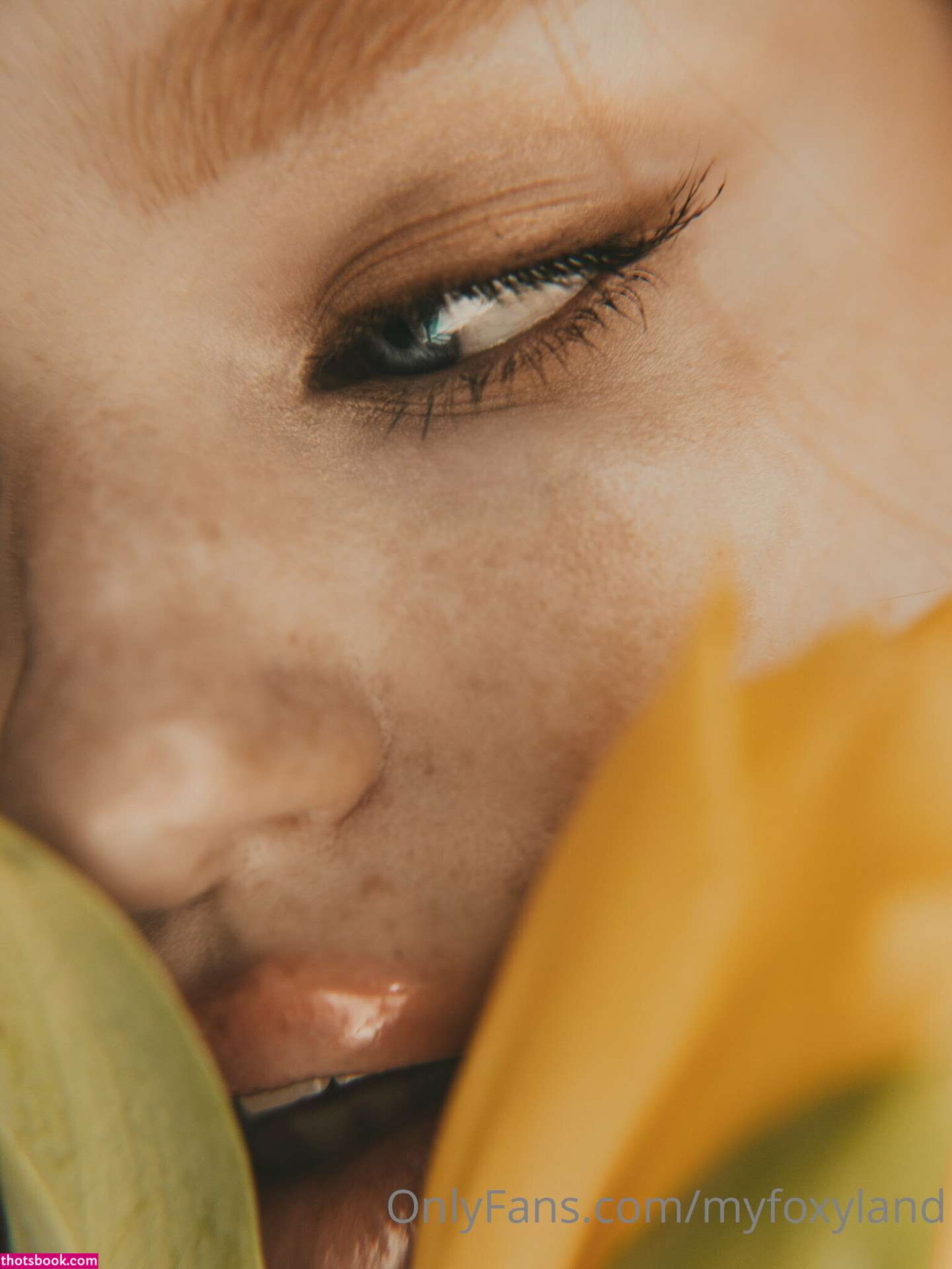 Myfoxyland Nude OnlyFans Photos #3 558701