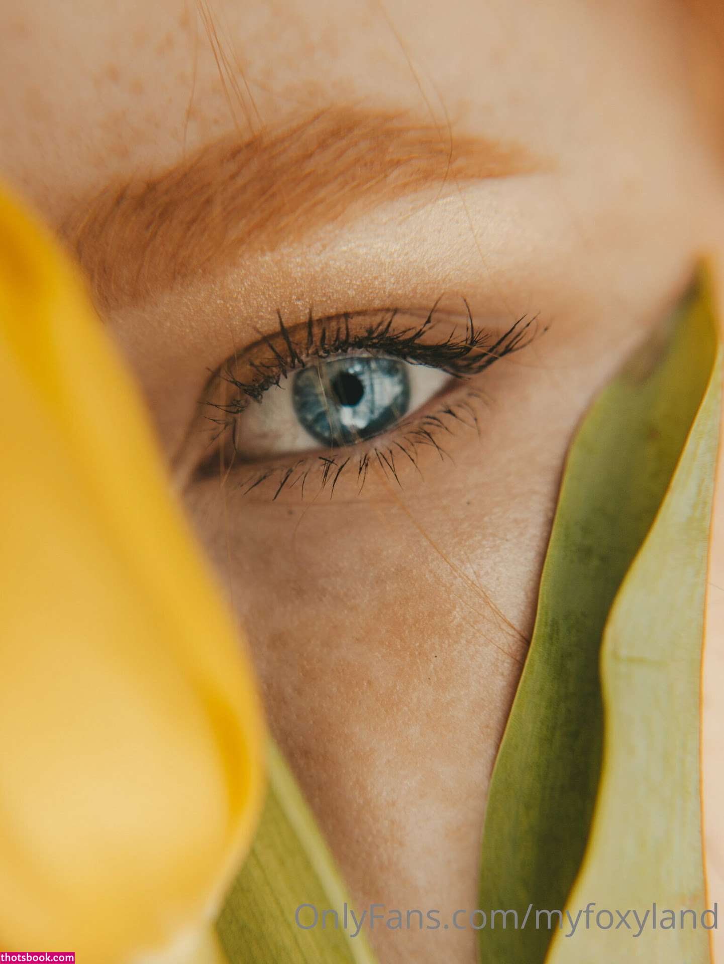 Myfoxyland Nude OnlyFans Photos #3 558704