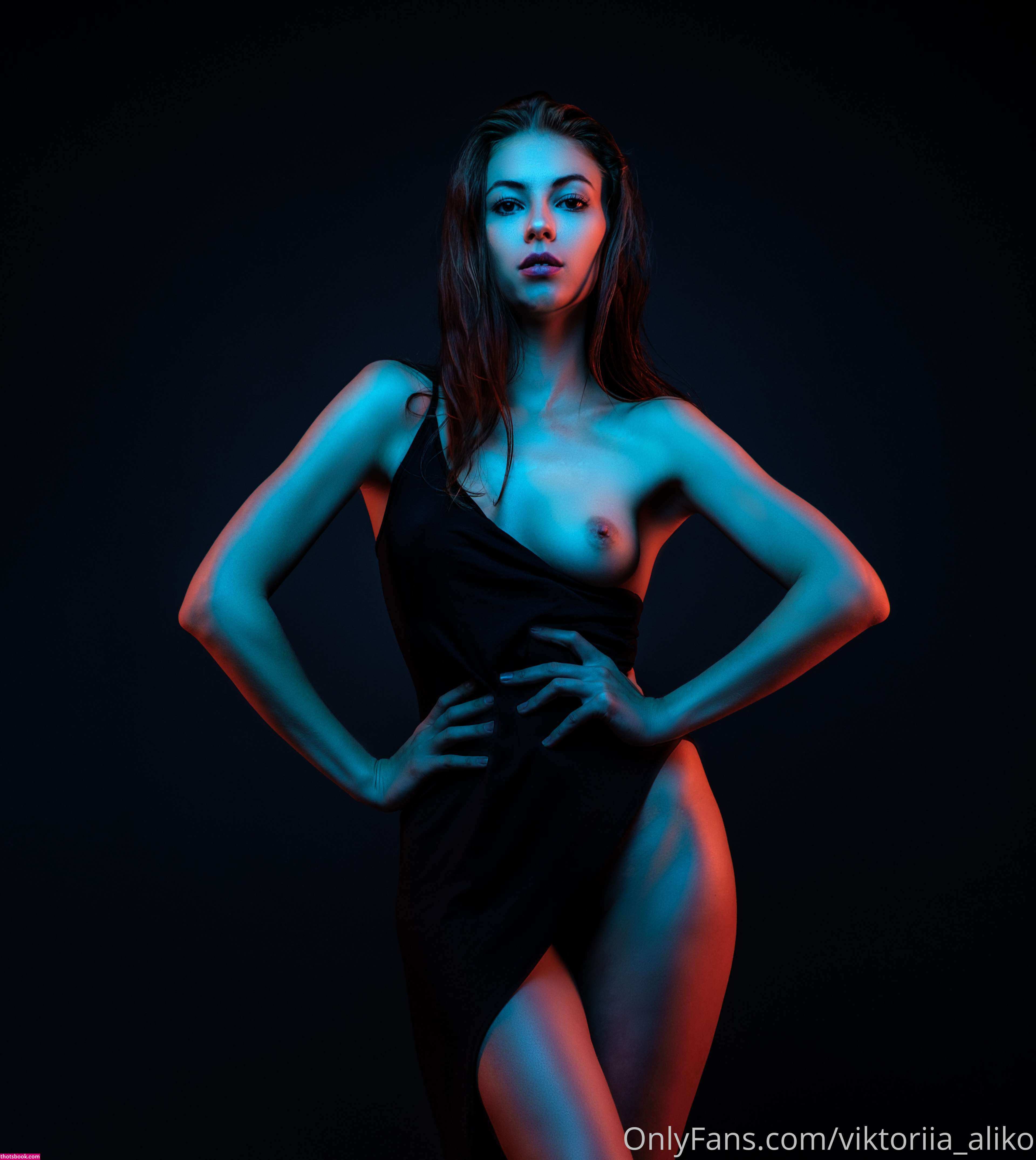 viktoriia aliko Nude OnlyFans Photos #15 574954