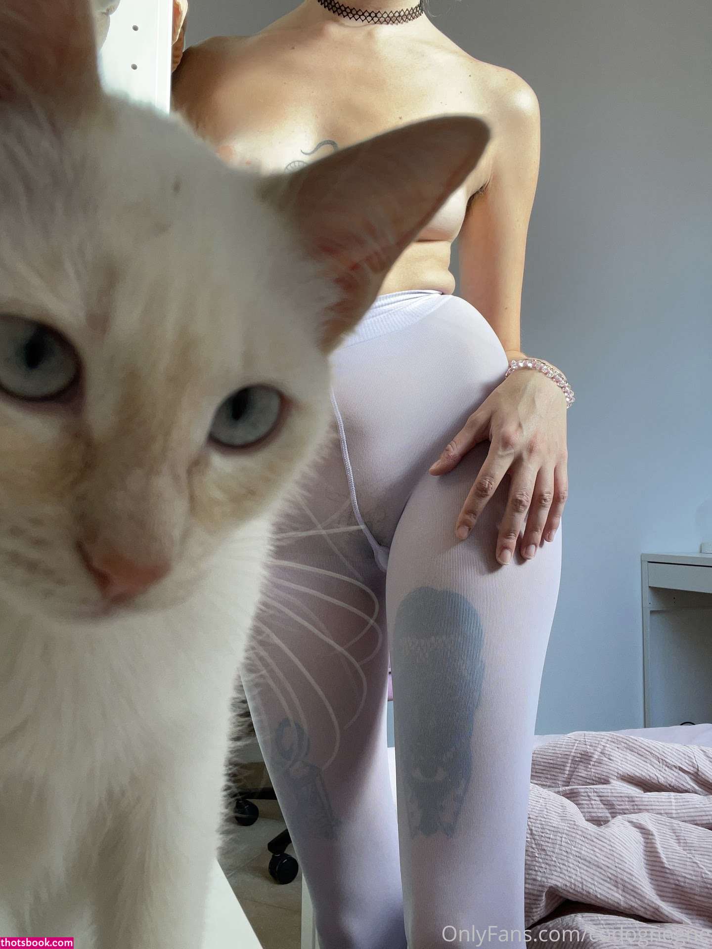 codognegne Nude Leaks OnlyFans Photos #3 1422141