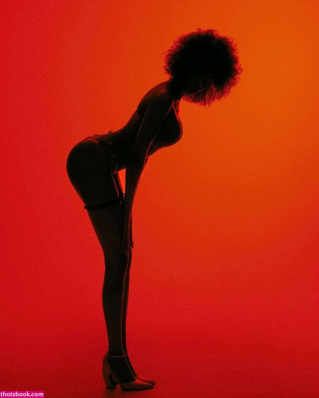 Nicole Akonchong nicoleakonchong Nude Leaks OnlyFans Photos #5 1405822