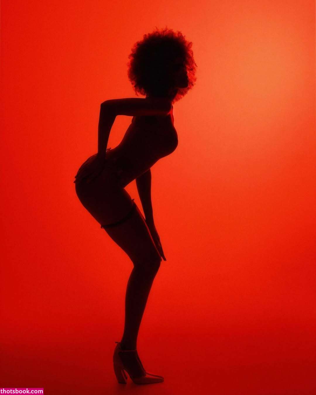 Nicole Akonchong nicoleakonchong Nude Leaks OnlyFans Photos #5 1405824