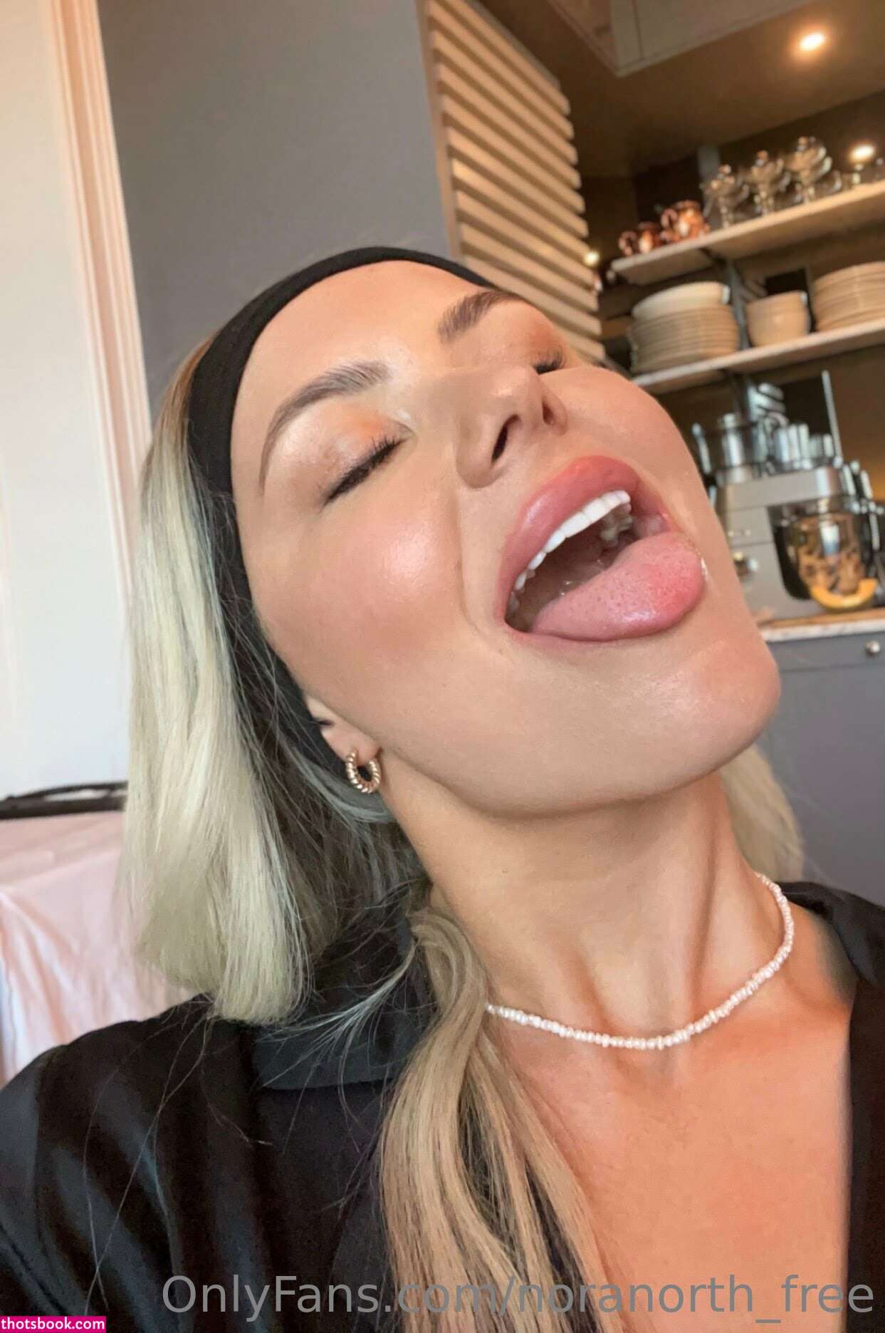 NoraNorth Nude Leaks OnlyFans Photos #1 1417133