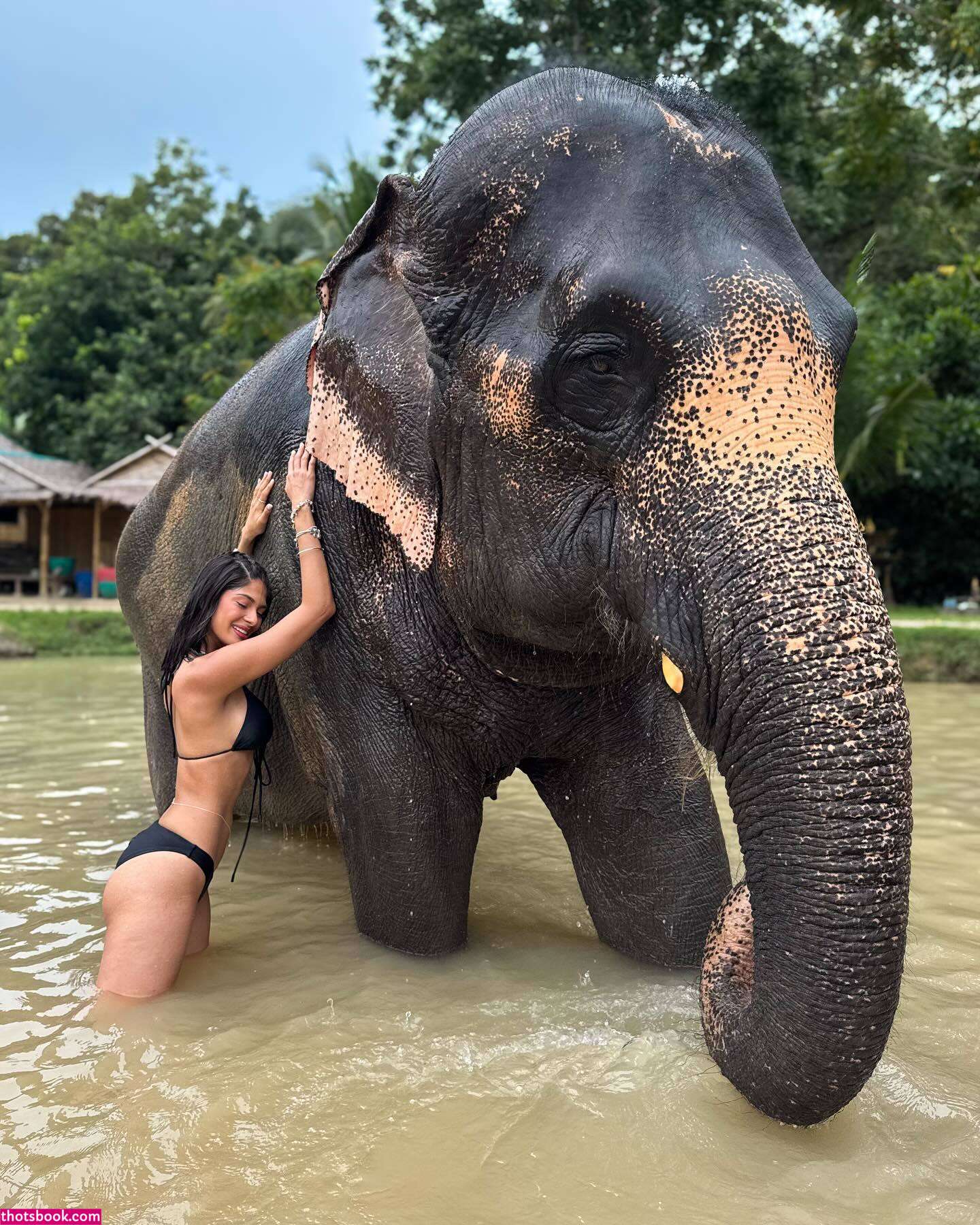 Sheynnis Palacios Nude Leaks OnlyFans Photos #1 1435205