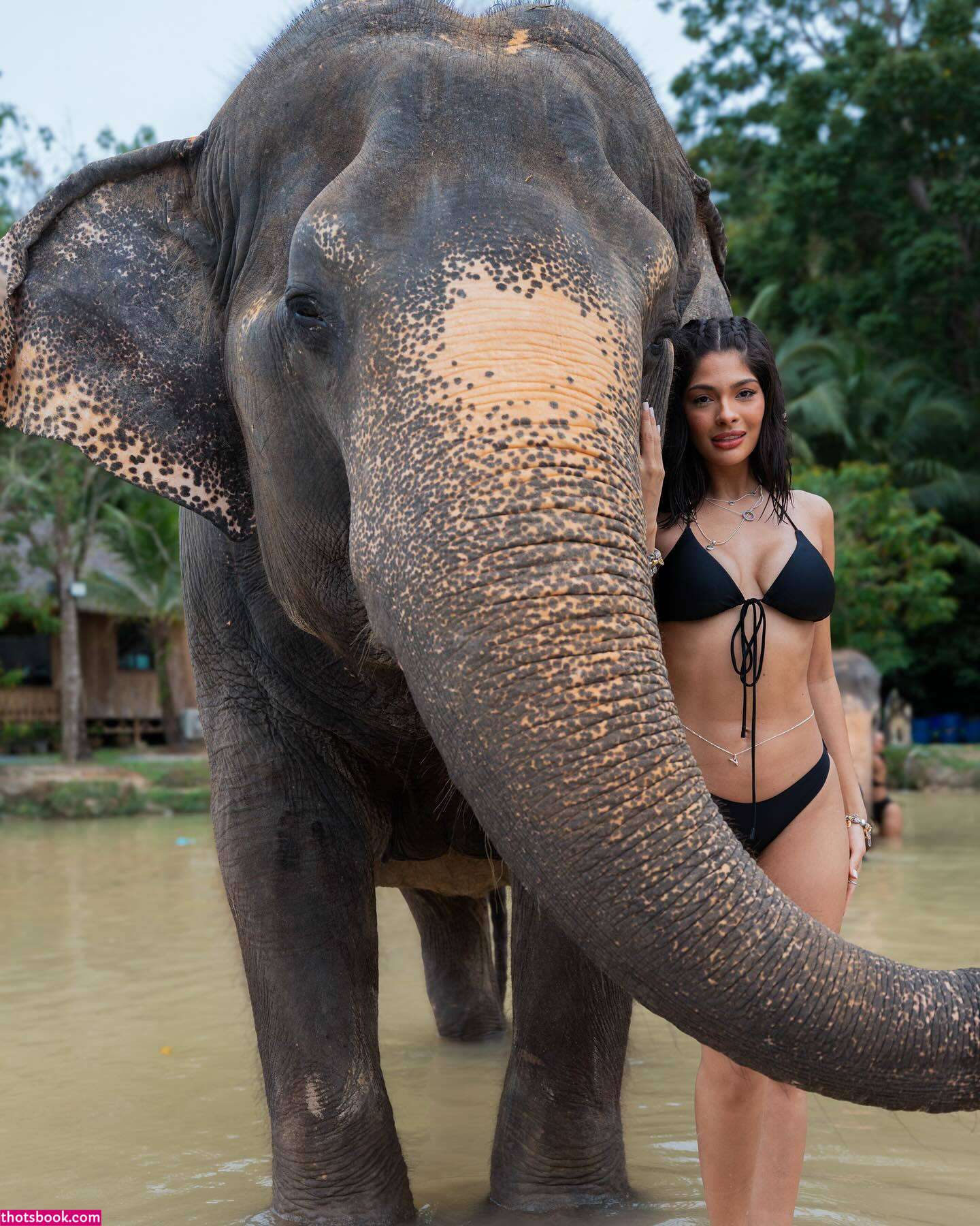 Sheynnis Palacios Nude Leaks OnlyFans Photos #3 1435223