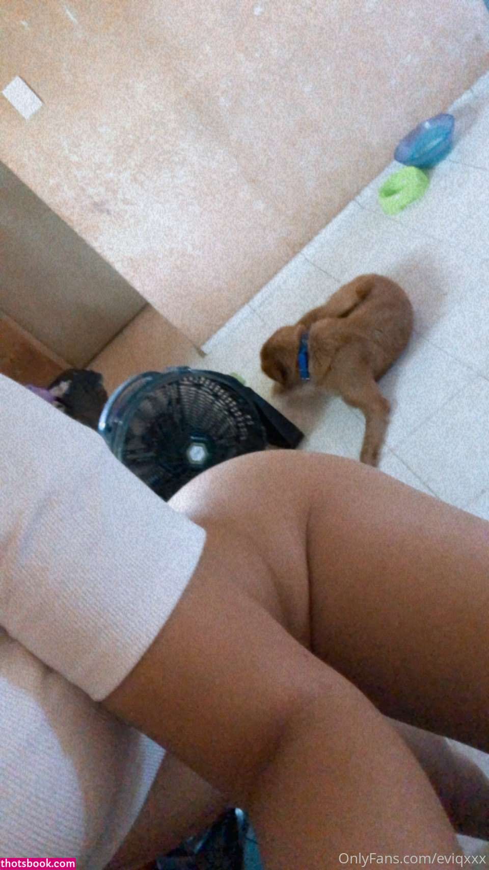 Emma Iris eviq666 Nude Leaks OnlyFans Photos #2 1409072