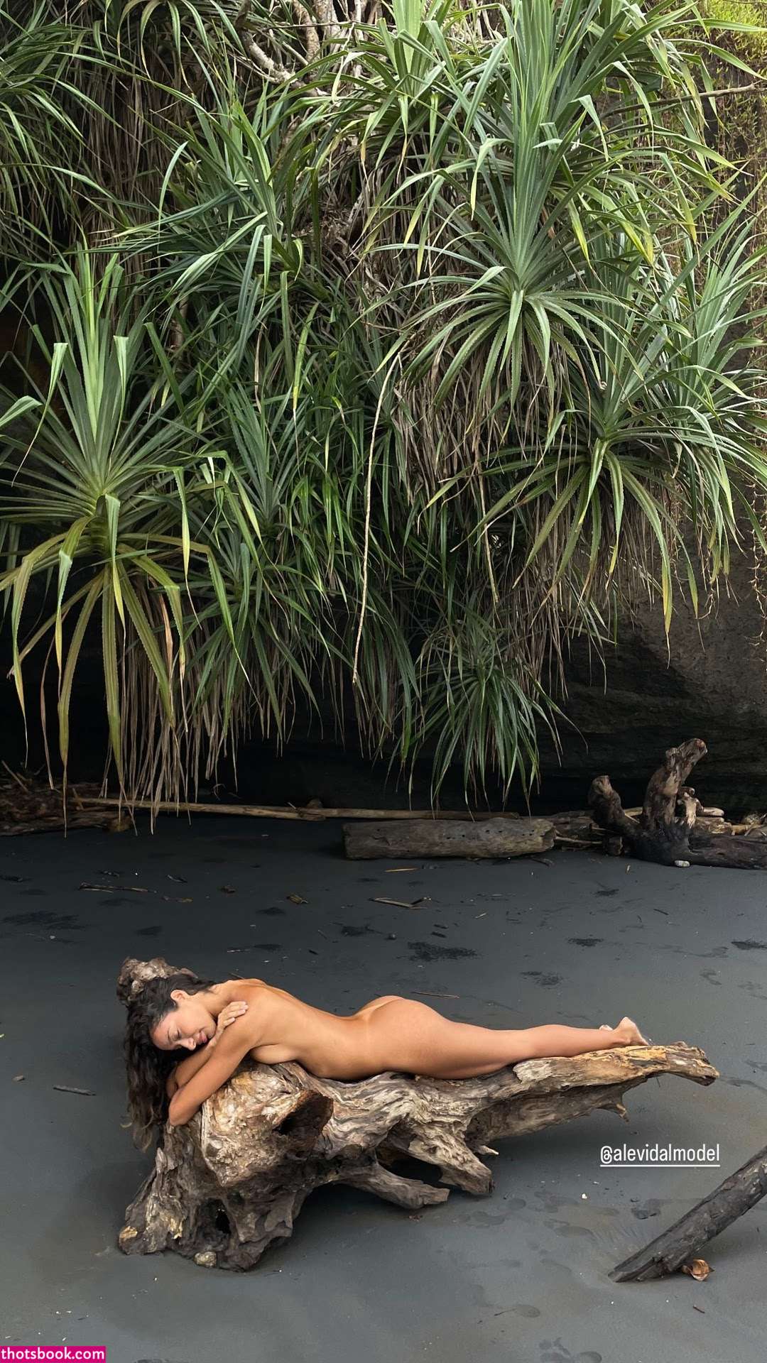 Alejandra vidal Nude Leaks OnlyFans Photos #3 1446377