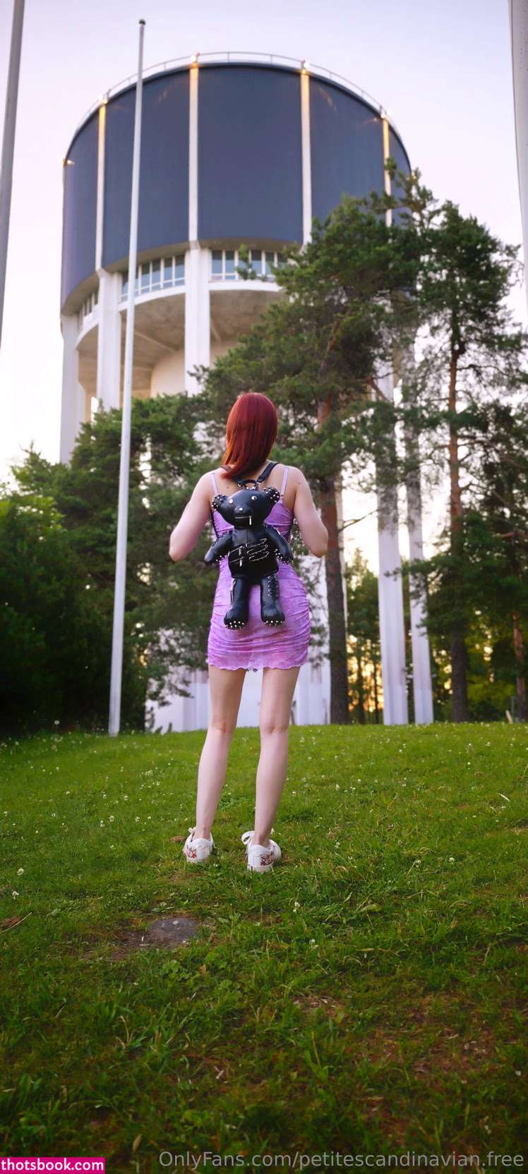 petitescandinavian04 petitescandinavianfree Nude Leaks OnlyFans Photos #3 1917946