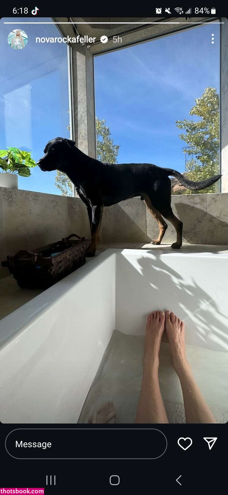 Nova Rockafeller Nude Leaks OnlyFans Photos #1 1916322