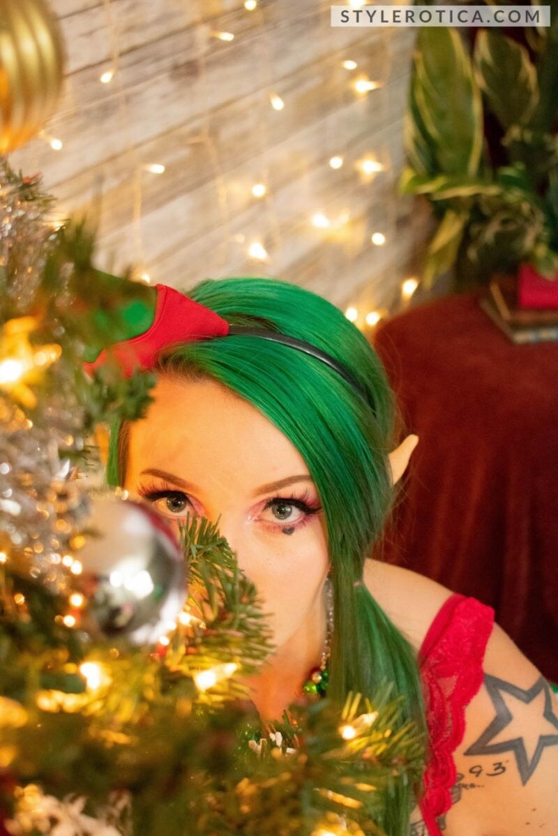 Nixy Little Helper 10483