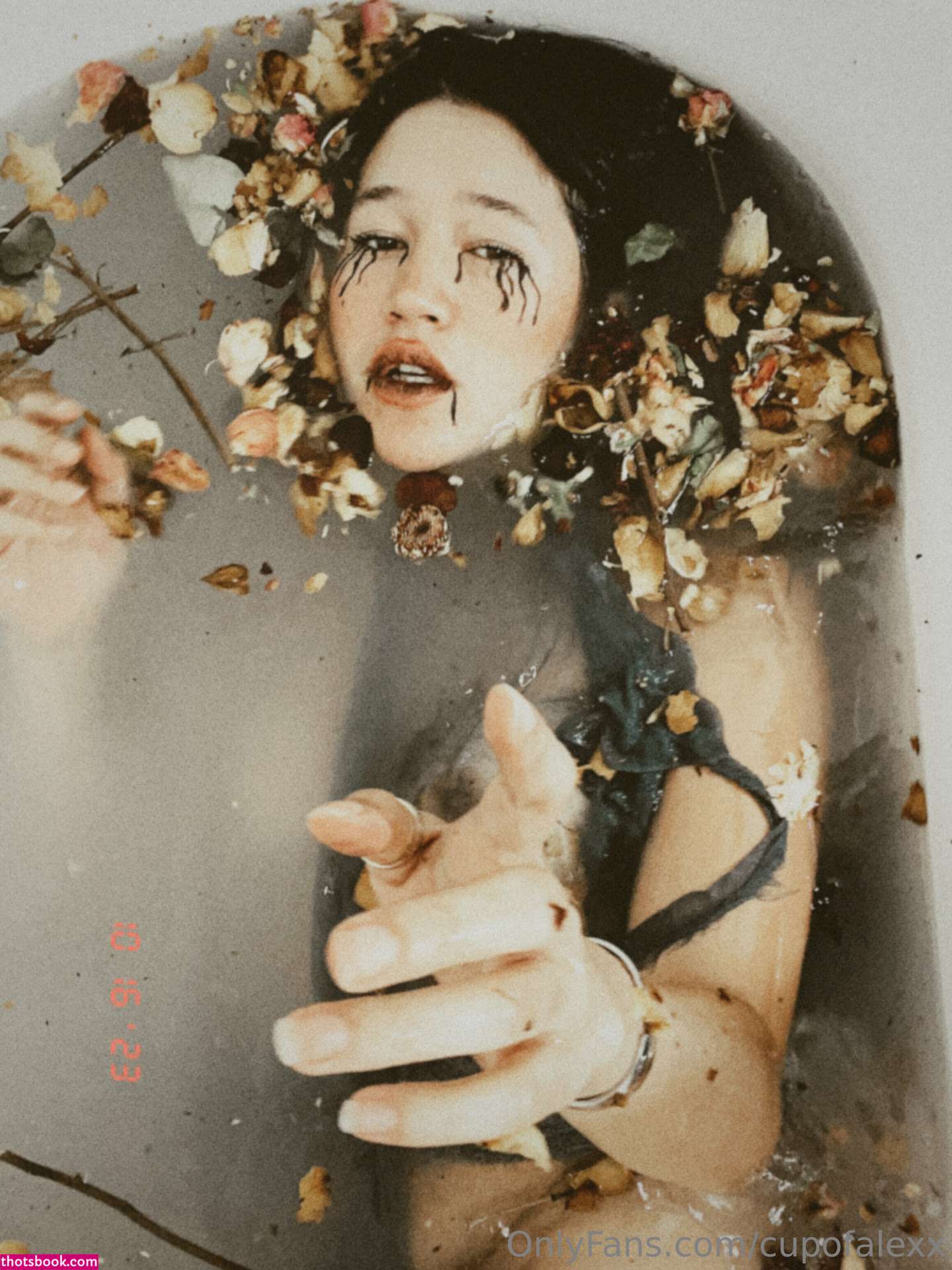 Cupofalexx Nude OnlyFans Photos #13 497812