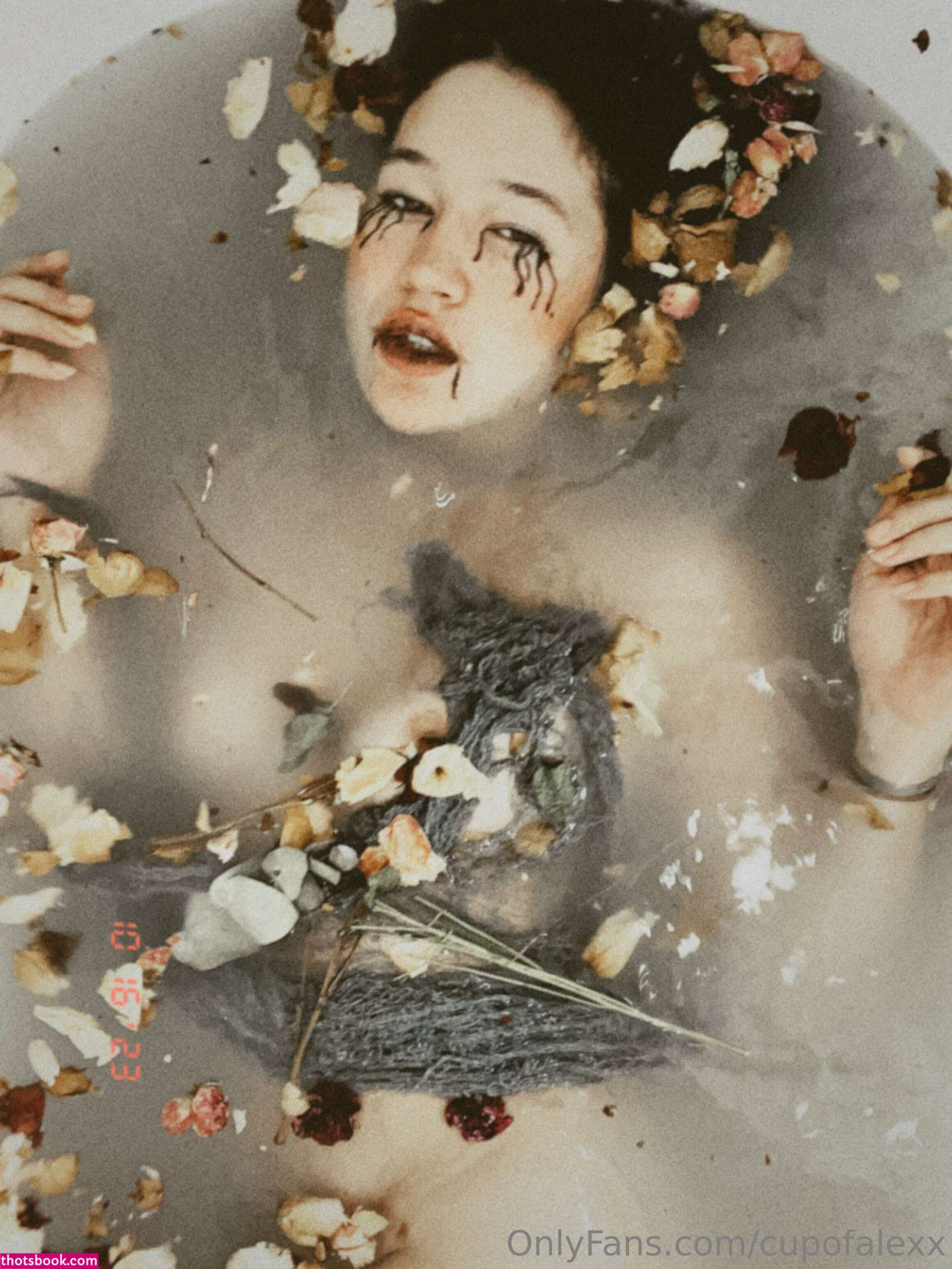 Cupofalexx Nude OnlyFans Photos #13 497815