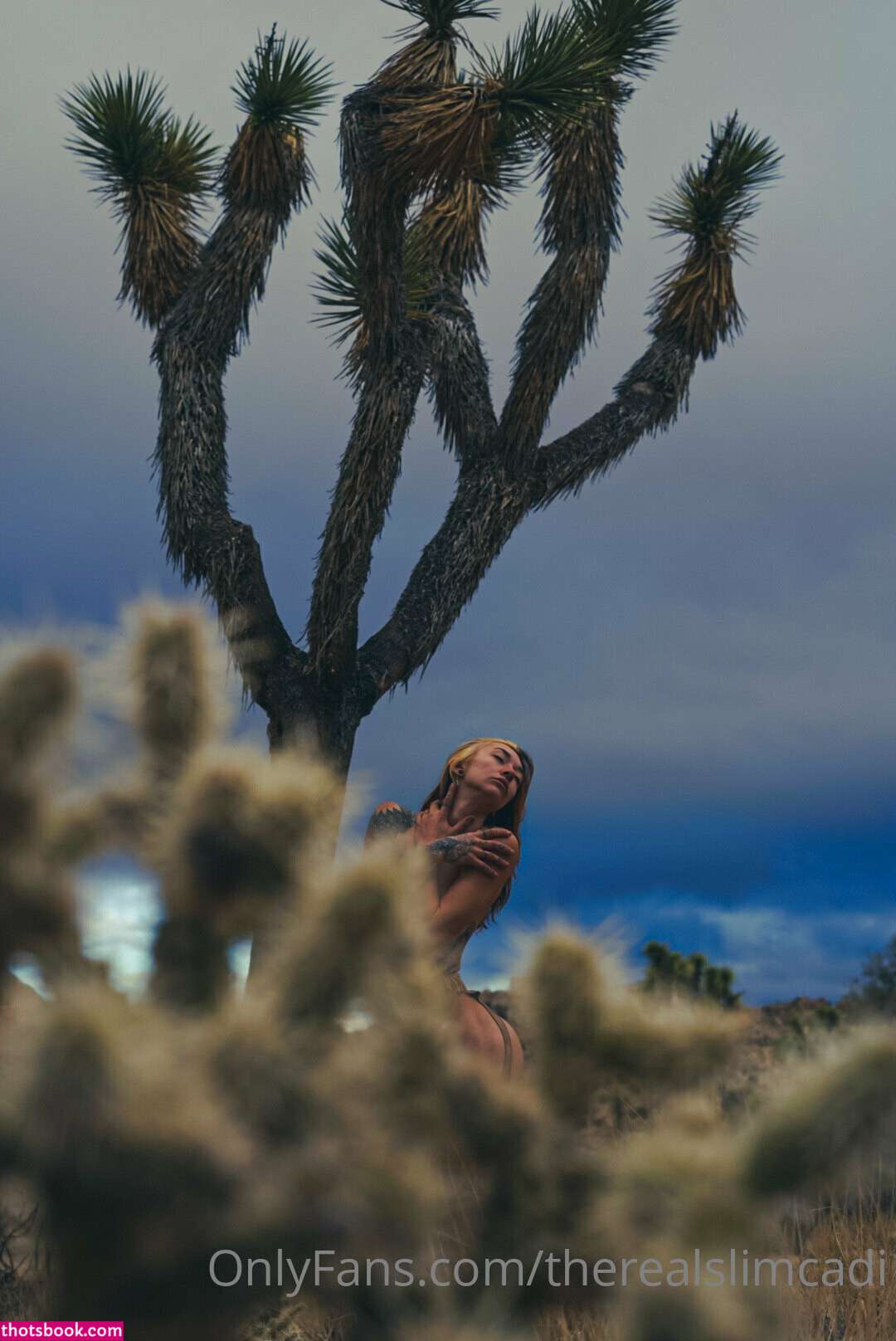 therealslimcadi Nude OnlyFans Photos #2 527755