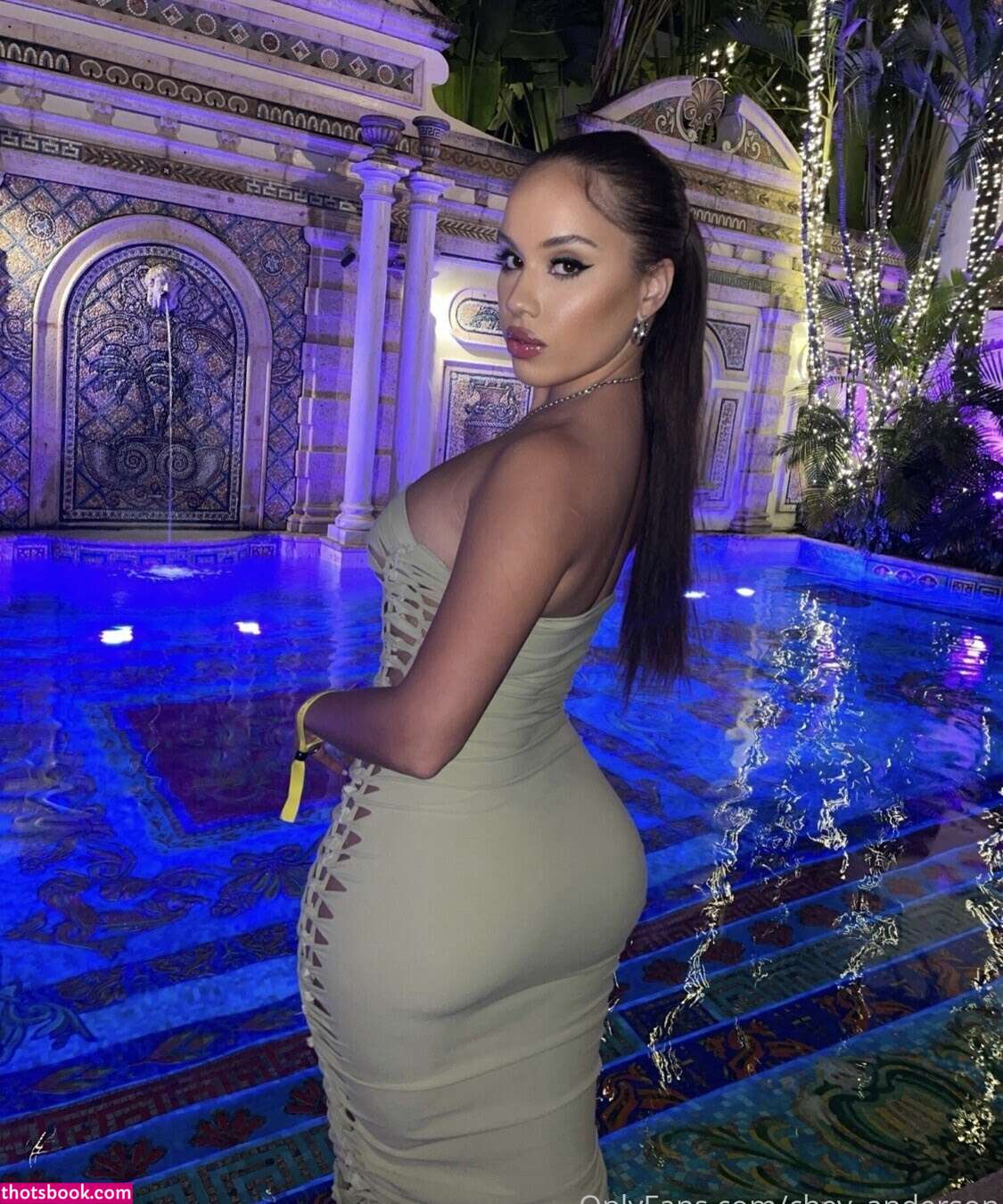 Chey Anderson Nude OnlyFans Photos #12 488385