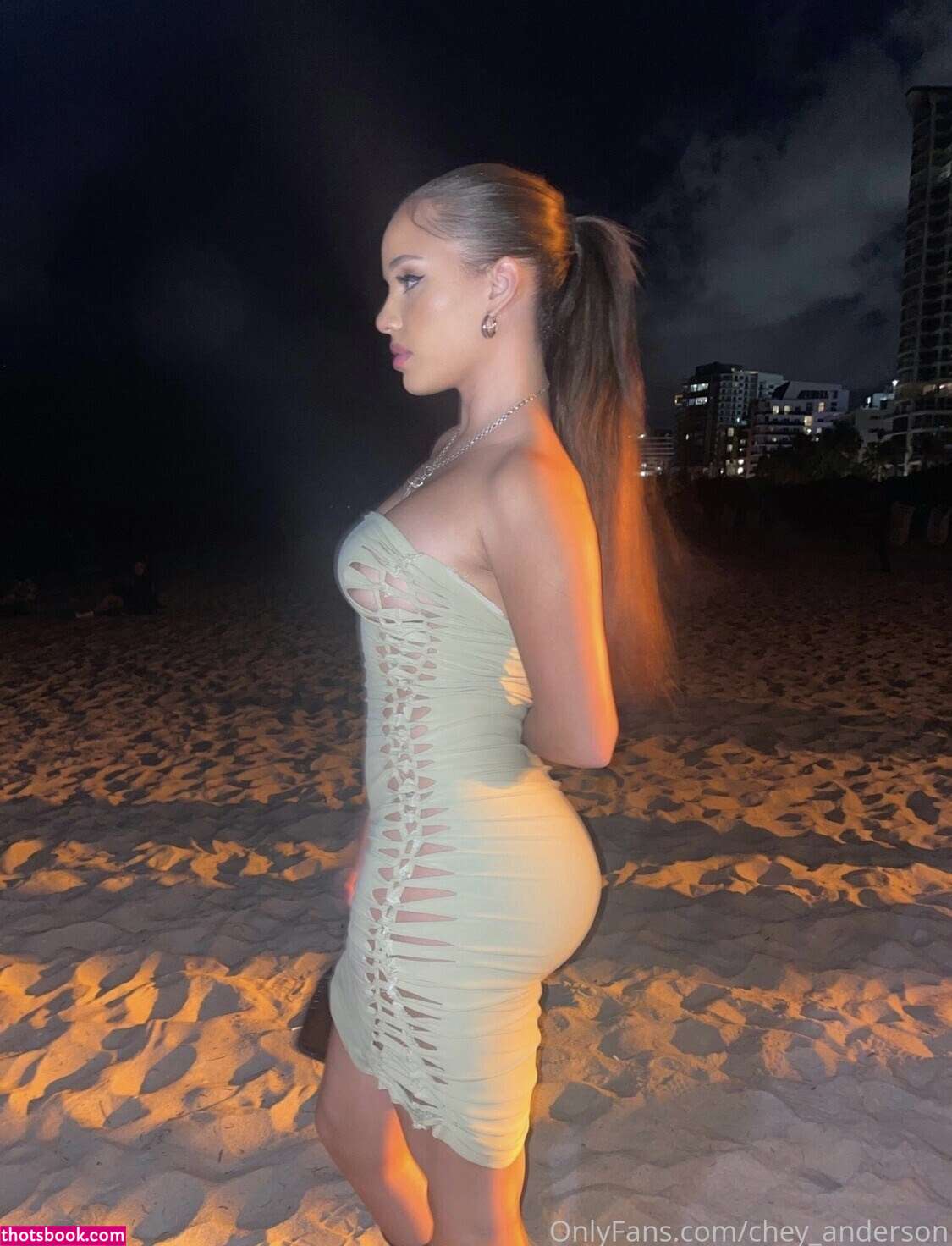 Chey Anderson Nude OnlyFans Photos #12 488390