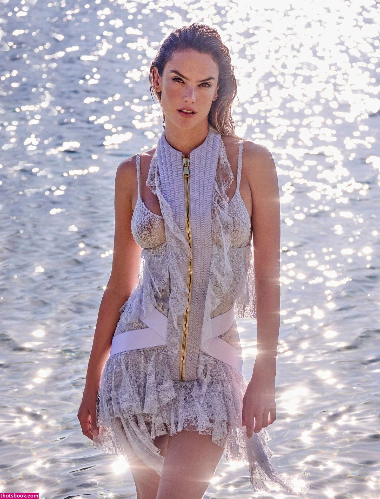 Alessandra Ambrosio Nude OnlyFans Photos #11 519033