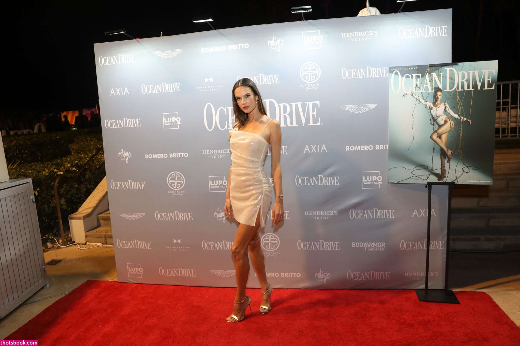 Alessandra Ambrosio Nude OnlyFans Photos #12 519044