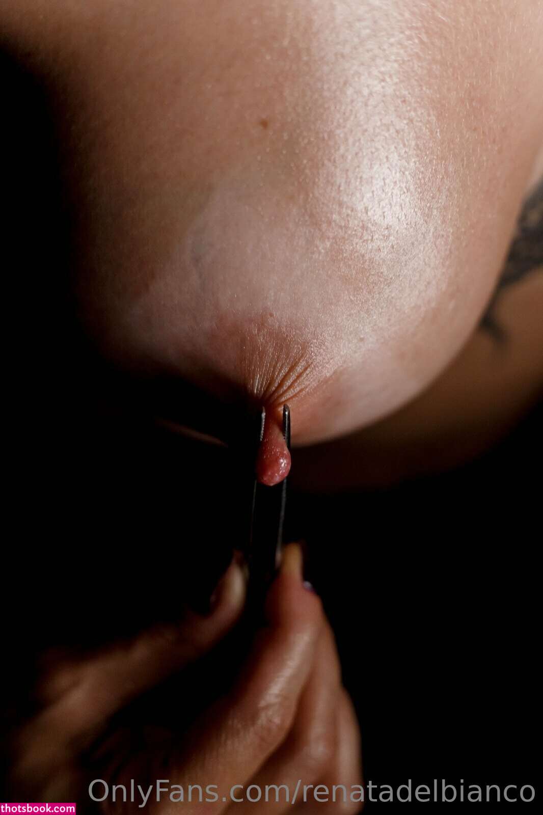 Renata Del Bianco Nude OnlyFans Photos #11 483636